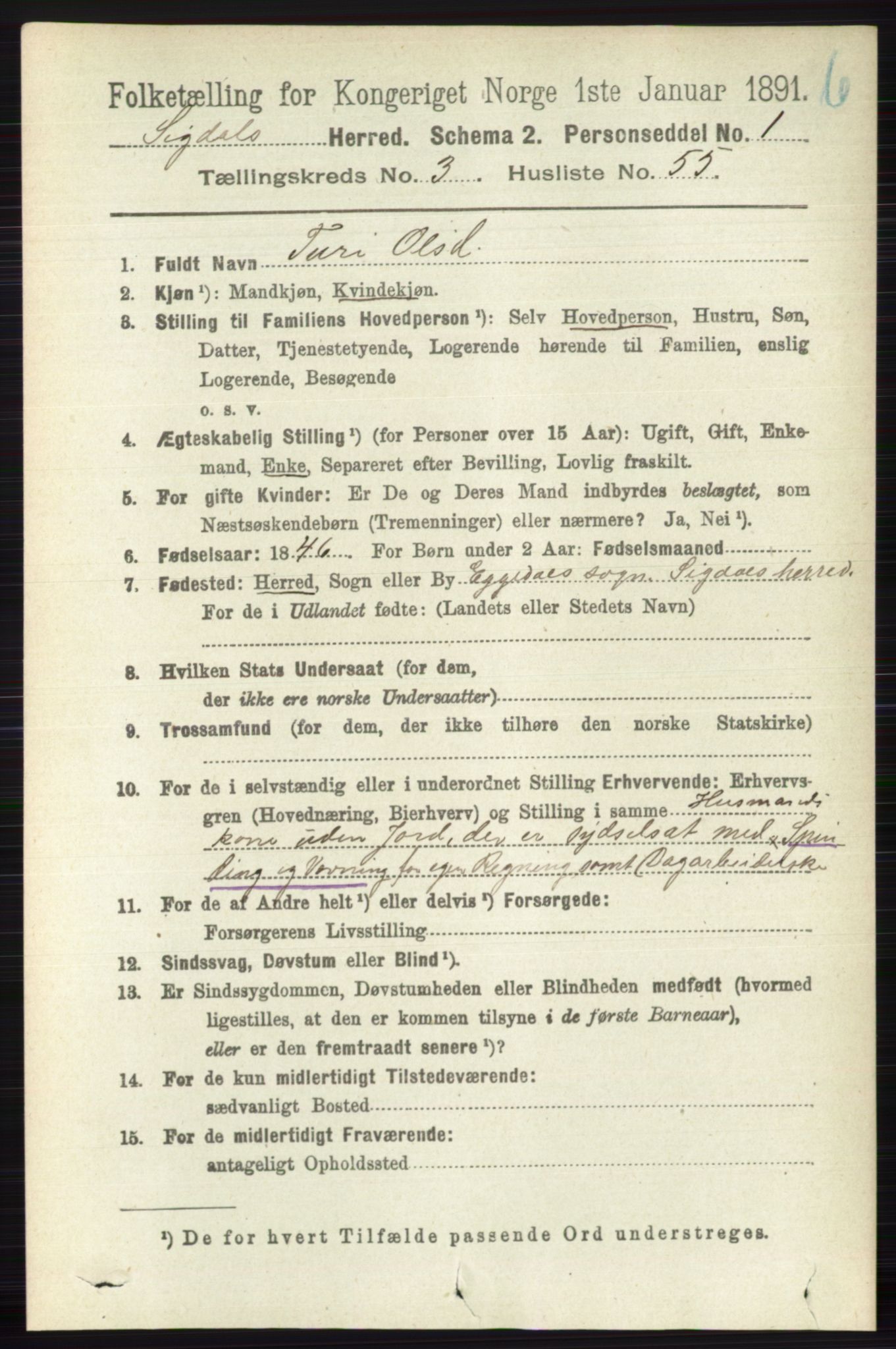 RA, 1891 census for 0621 Sigdal, 1891, p. 4610