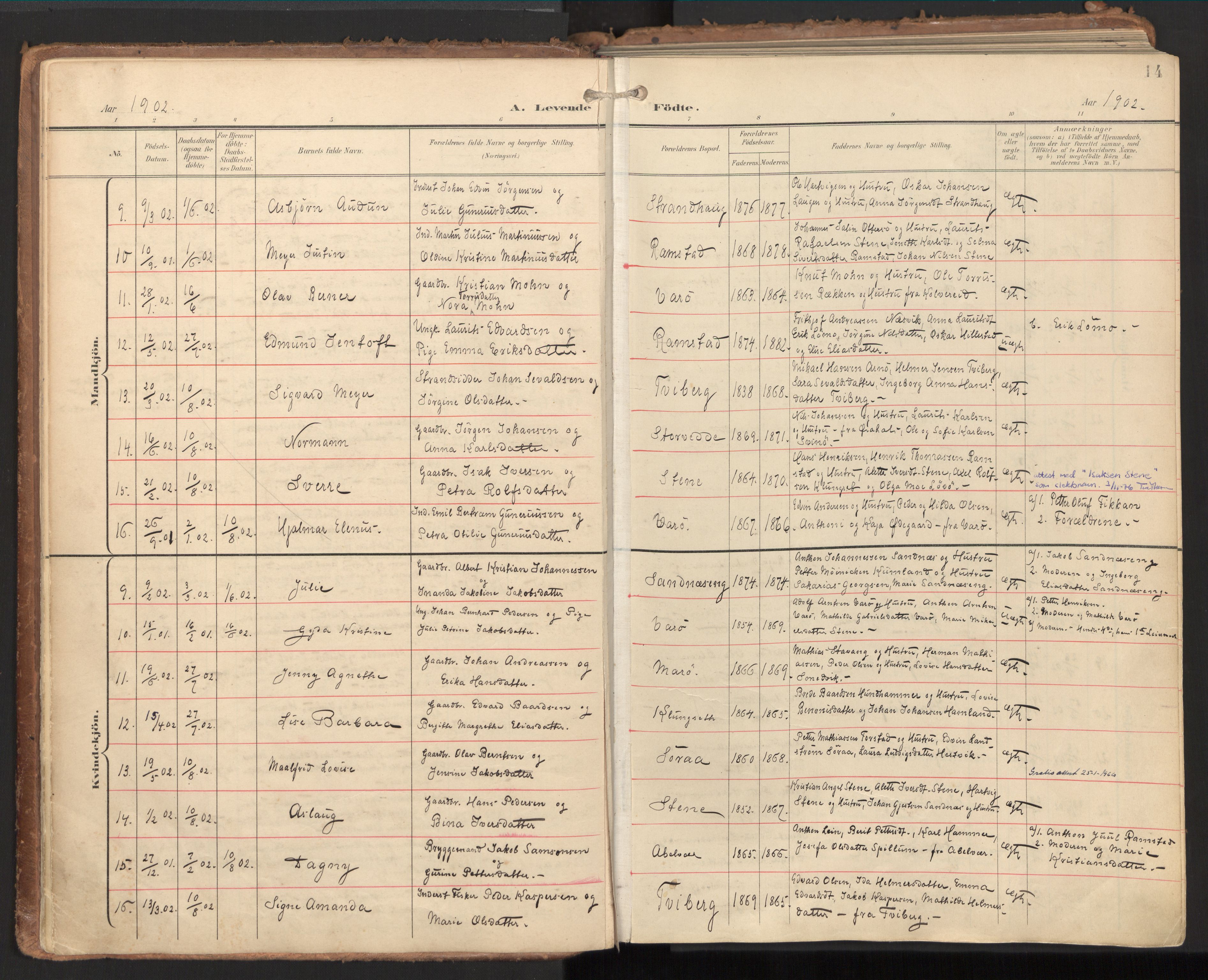 Ministerialprotokoller, klokkerbøker og fødselsregistre - Nord-Trøndelag, SAT/A-1458/784/L0677: Parish register (official) no. 784A12, 1900-1920, p. 14