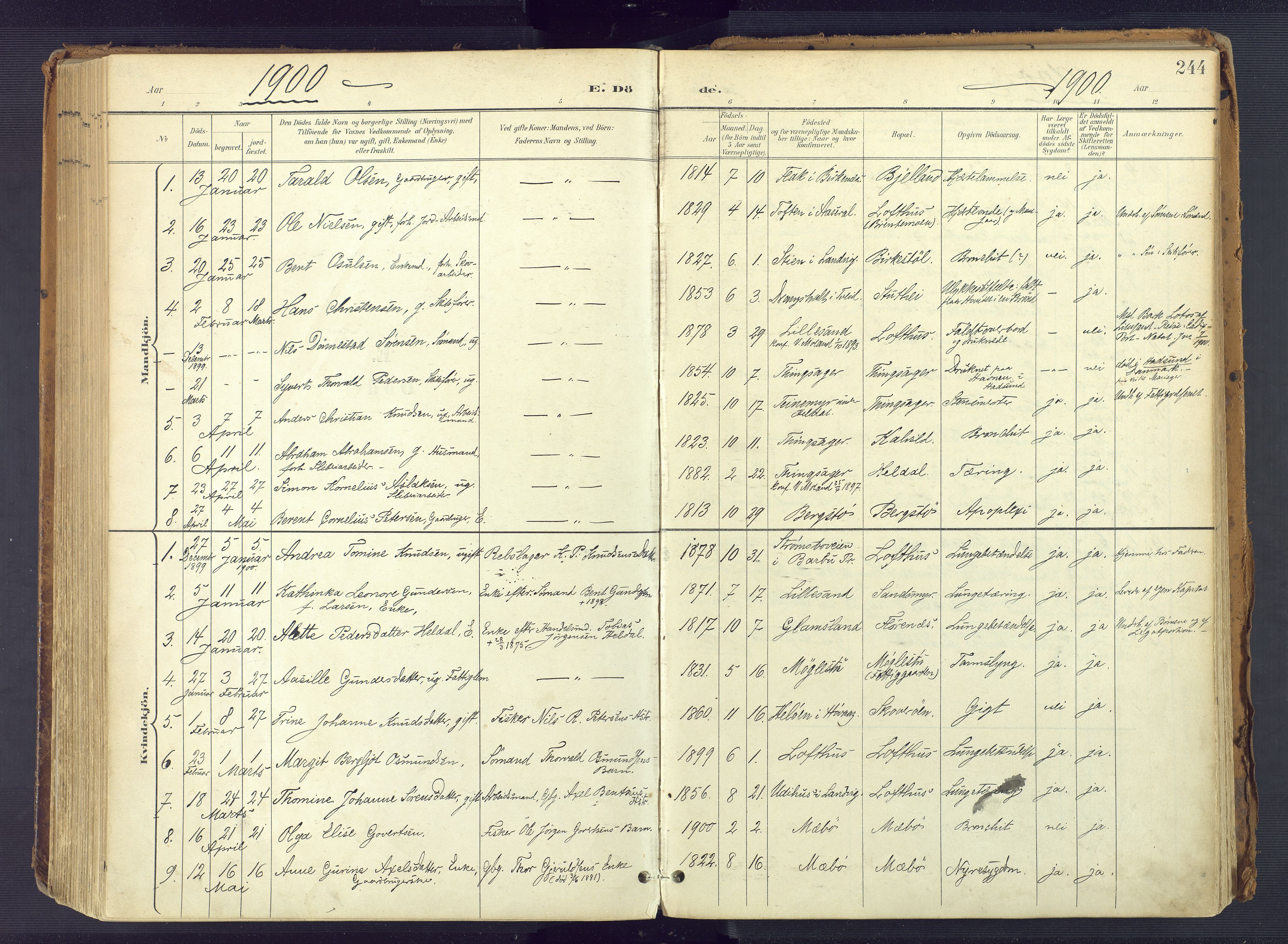 Vestre Moland sokneprestkontor, AV/SAK-1111-0046/F/Fa/Fab/L0010: Parish register (official) no. A 10, 1900-1926, p. 244