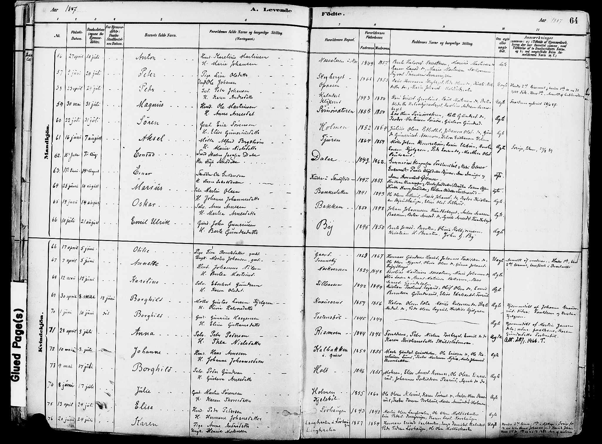 Grue prestekontor, SAH/PREST-036/H/Ha/Haa/L0012: Parish register (official) no. 12, 1881-1897, p. 64