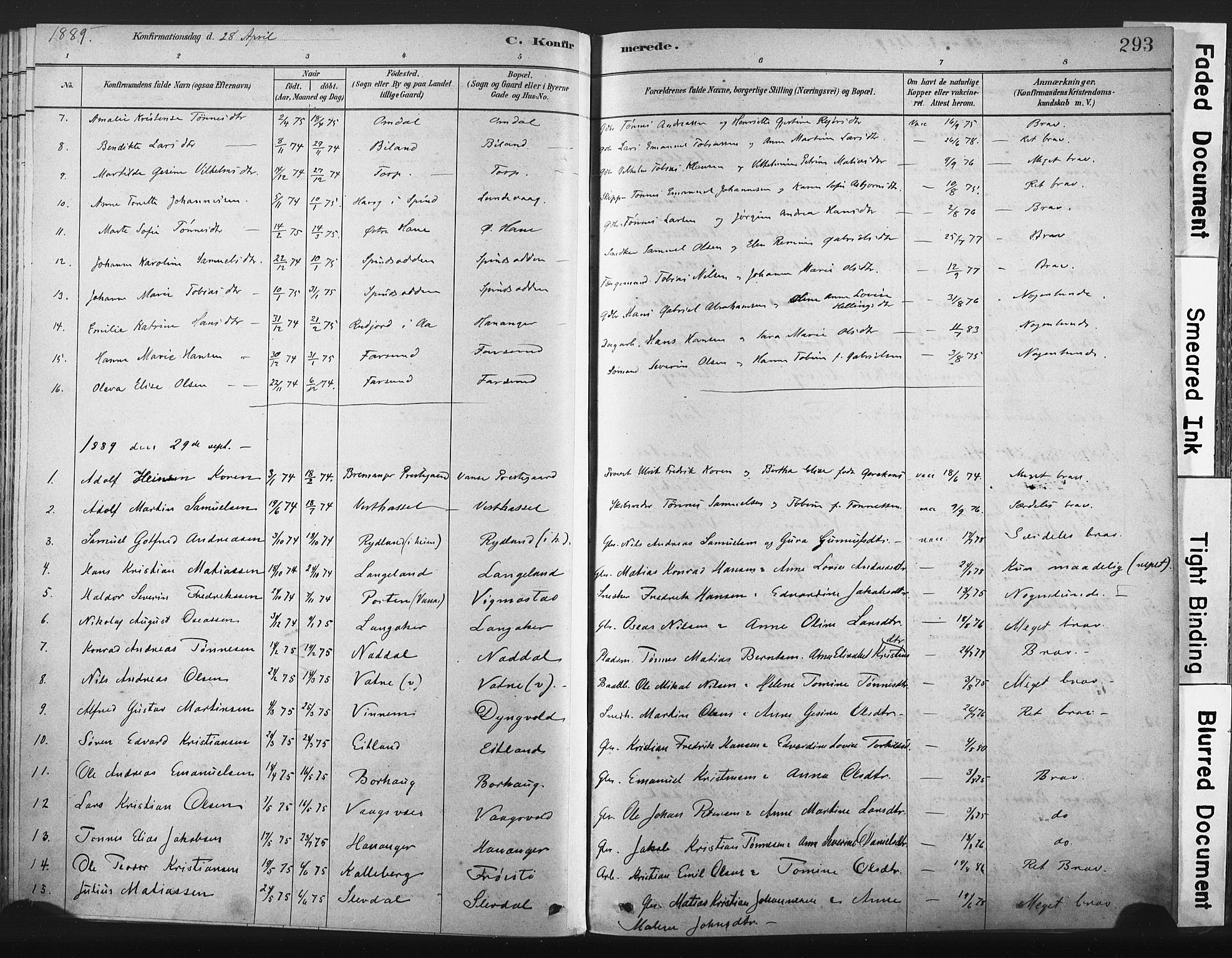 Lista sokneprestkontor, AV/SAK-1111-0027/F/Fa/L0012: Parish register (official) no. A 12, 1879-1903, p. 293