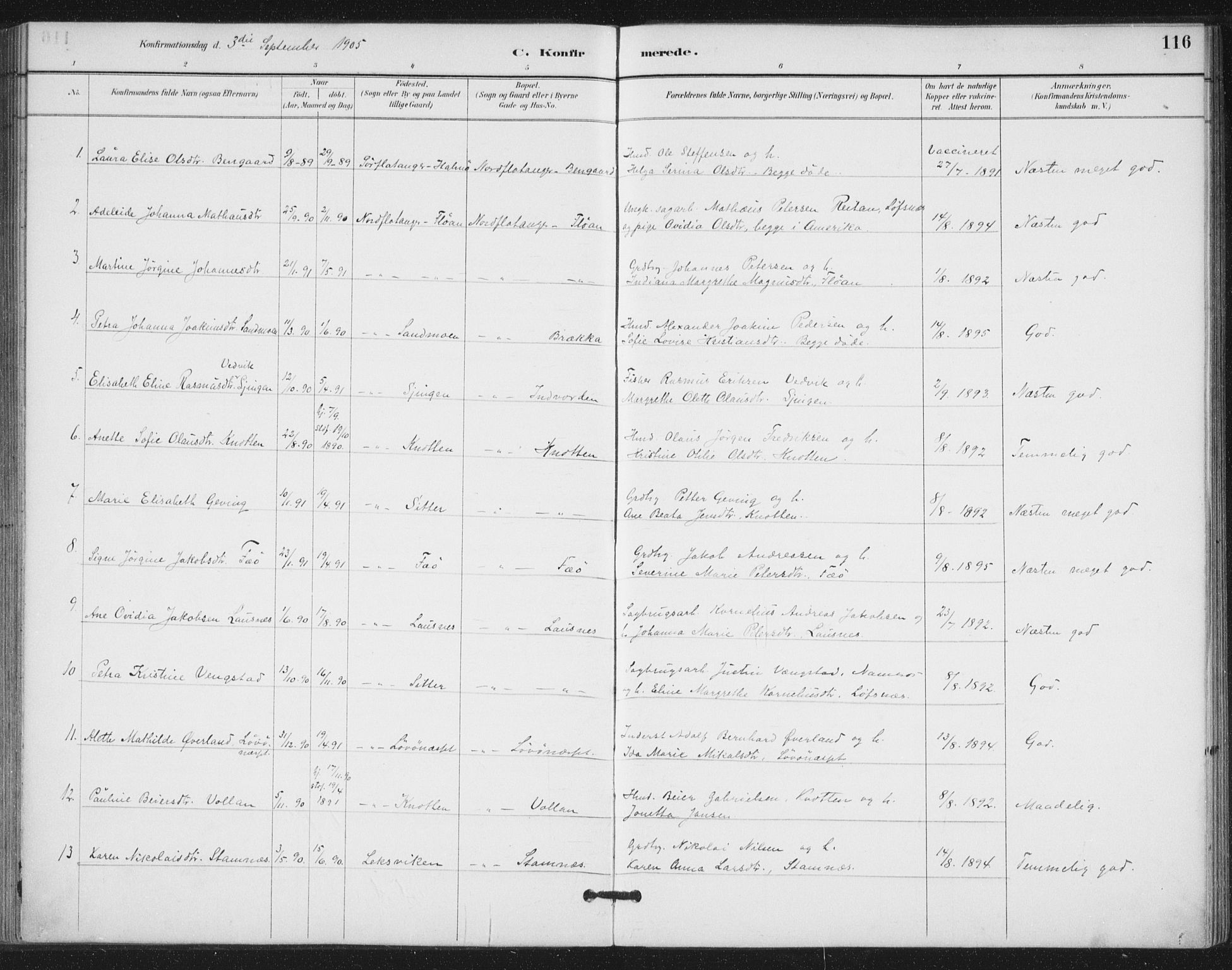 Ministerialprotokoller, klokkerbøker og fødselsregistre - Nord-Trøndelag, AV/SAT-A-1458/772/L0603: Parish register (official) no. 772A01, 1885-1912, p. 116