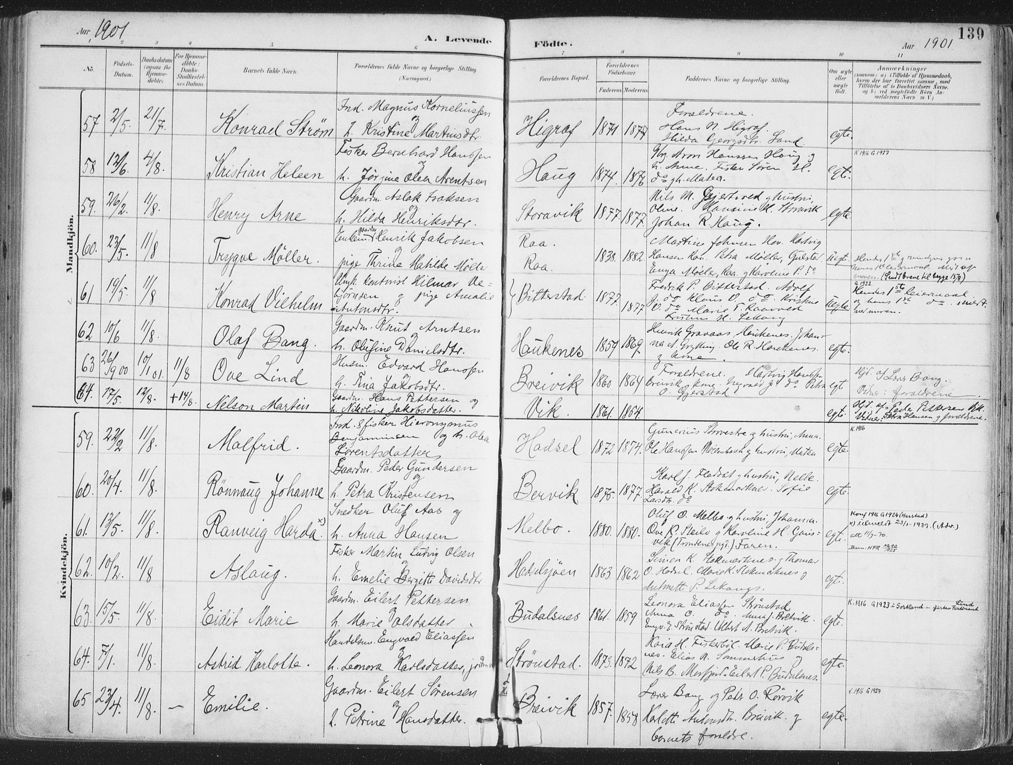 Ministerialprotokoller, klokkerbøker og fødselsregistre - Nordland, AV/SAT-A-1459/888/L1246: Parish register (official) no. 888A12, 1891-1903, p. 139