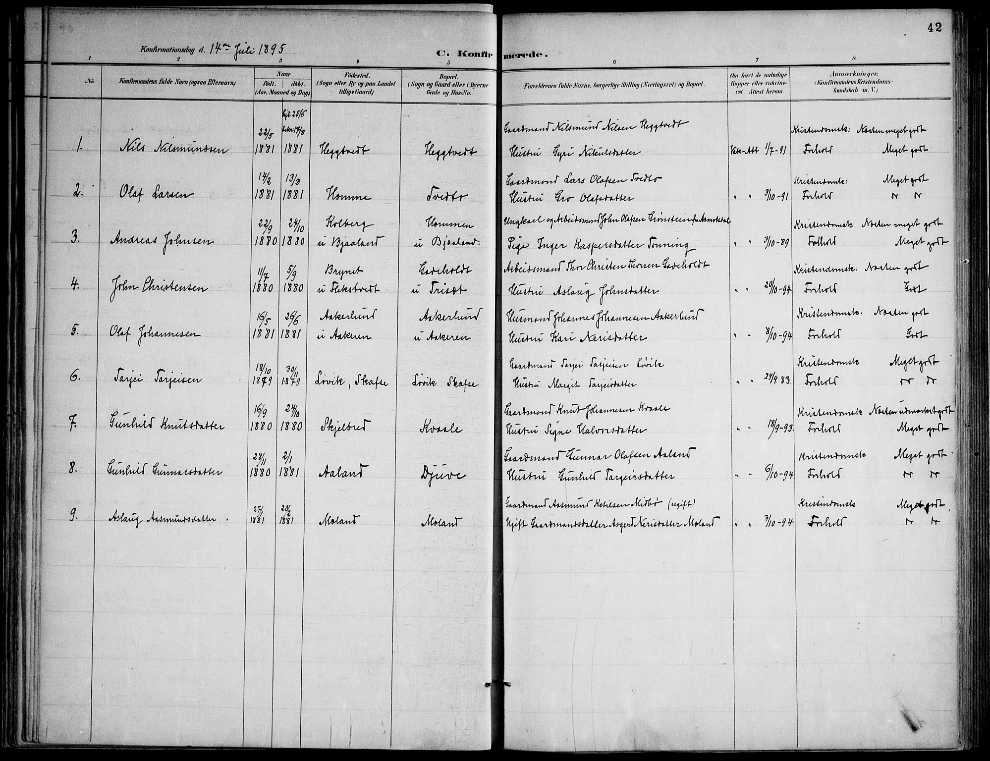 Lårdal kirkebøker, SAKO/A-284/F/Fa/L0007: Parish register (official) no. I 7, 1887-1906, p. 42