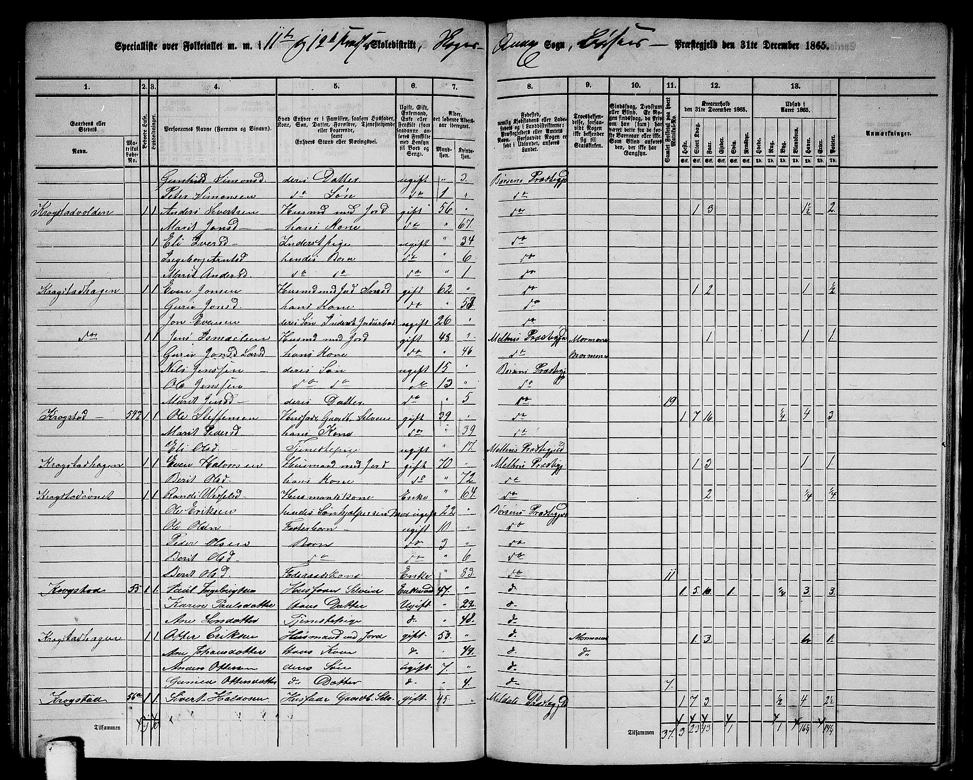 RA, 1865 census for Børsa, 1865, p. 124