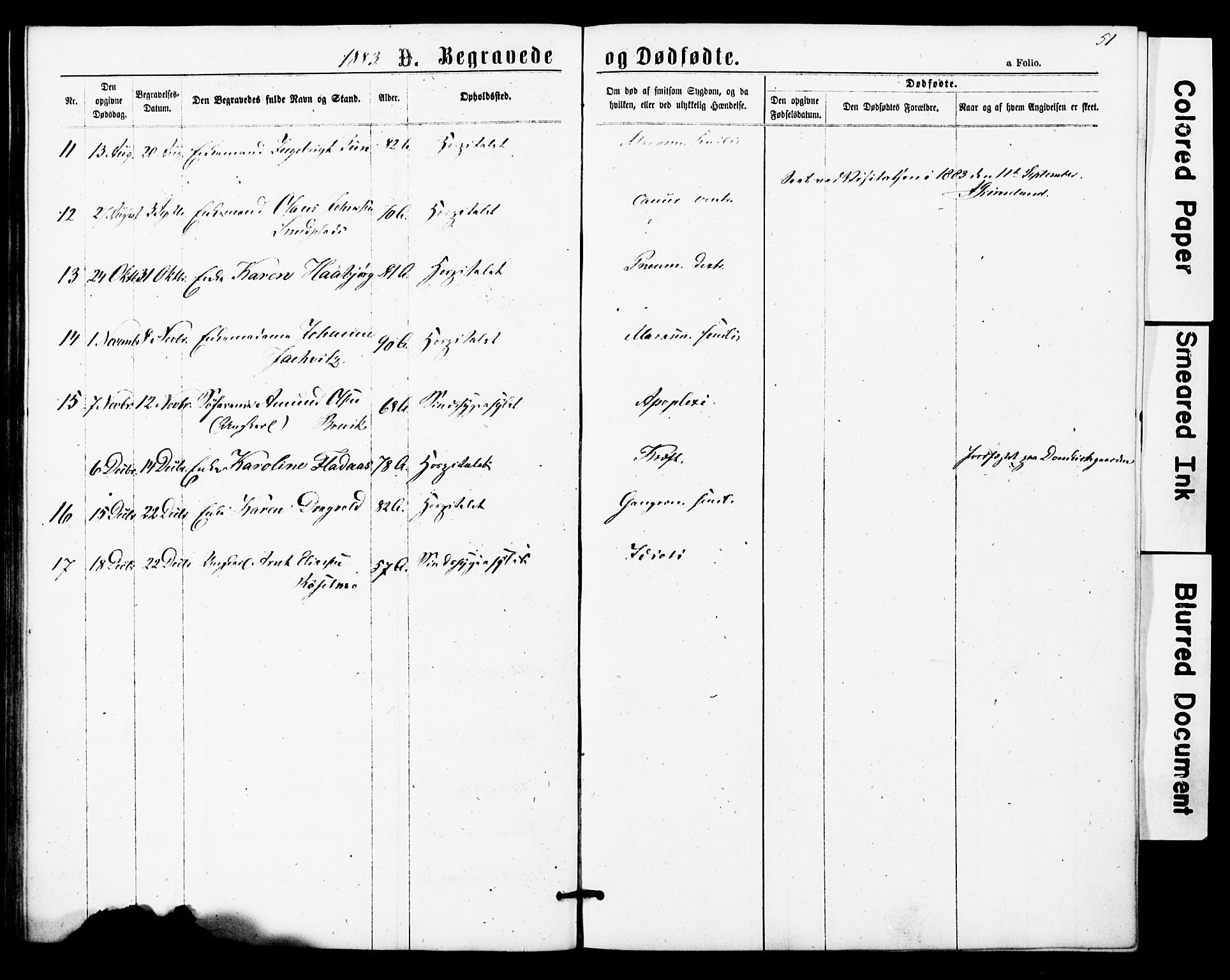 Ministerialprotokoller, klokkerbøker og fødselsregistre - Sør-Trøndelag, AV/SAT-A-1456/623/L0469: Parish register (official) no. 623A03, 1868-1883, p. 51