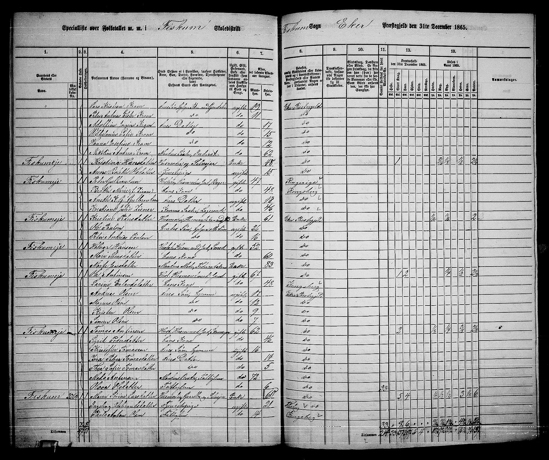 RA, 1865 census for Eiker, 1865, p. 523