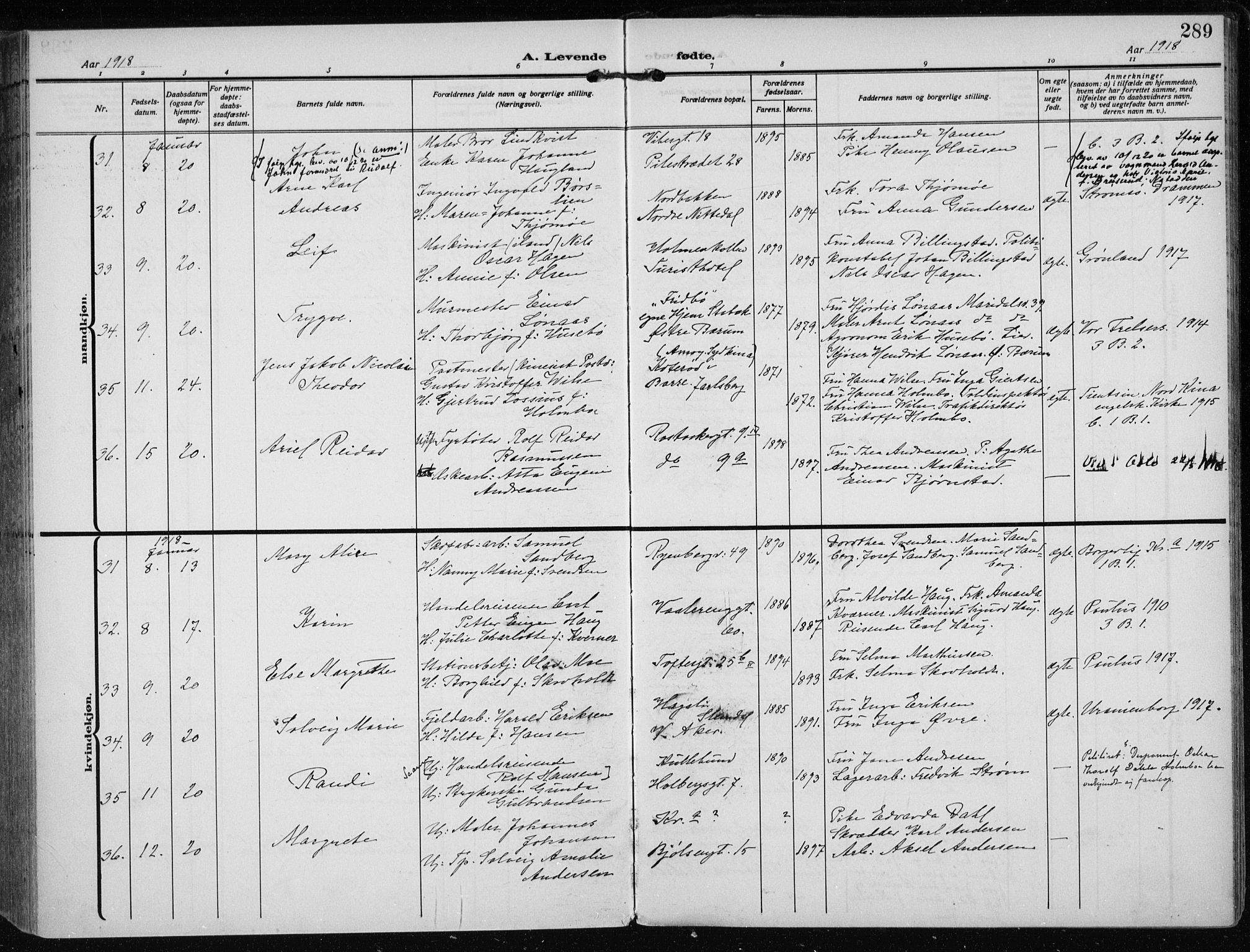 Rikshospitalet prestekontor Kirkebøker, SAO/A-10309b/F/L0016: Parish register (official) no. 16, 1916-1918, p. 289