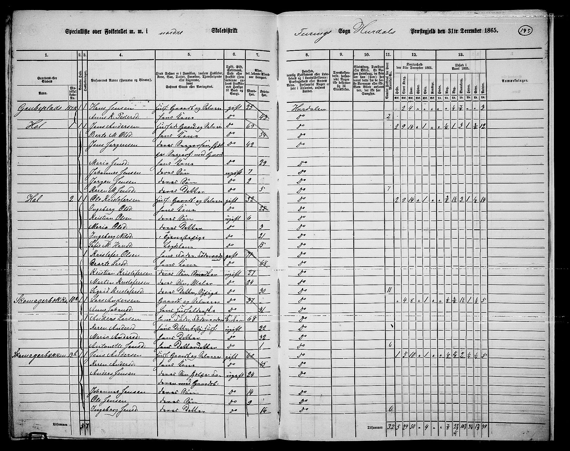 RA, 1865 census for Hurdal, 1865, p. 165