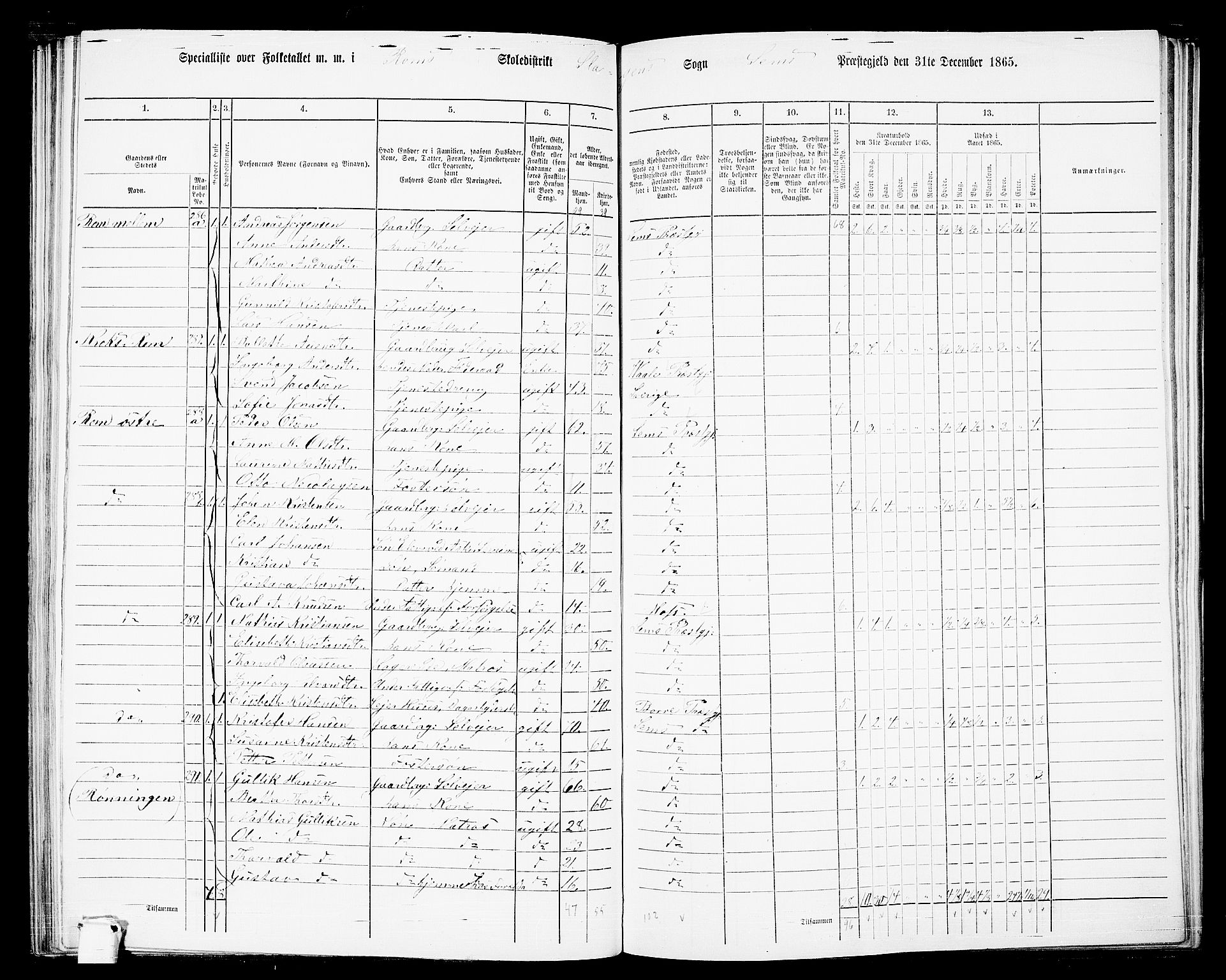 RA, 1865 census for Sem, 1865, p. 132