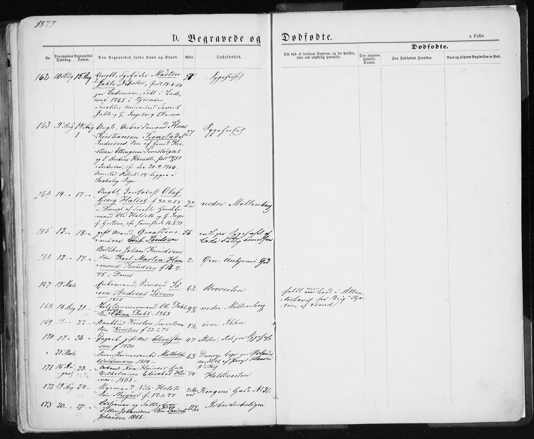 Ministerialprotokoller, klokkerbøker og fødselsregistre - Sør-Trøndelag, SAT/A-1456/601/L0055: Parish register (official) no. 601A23, 1866-1877