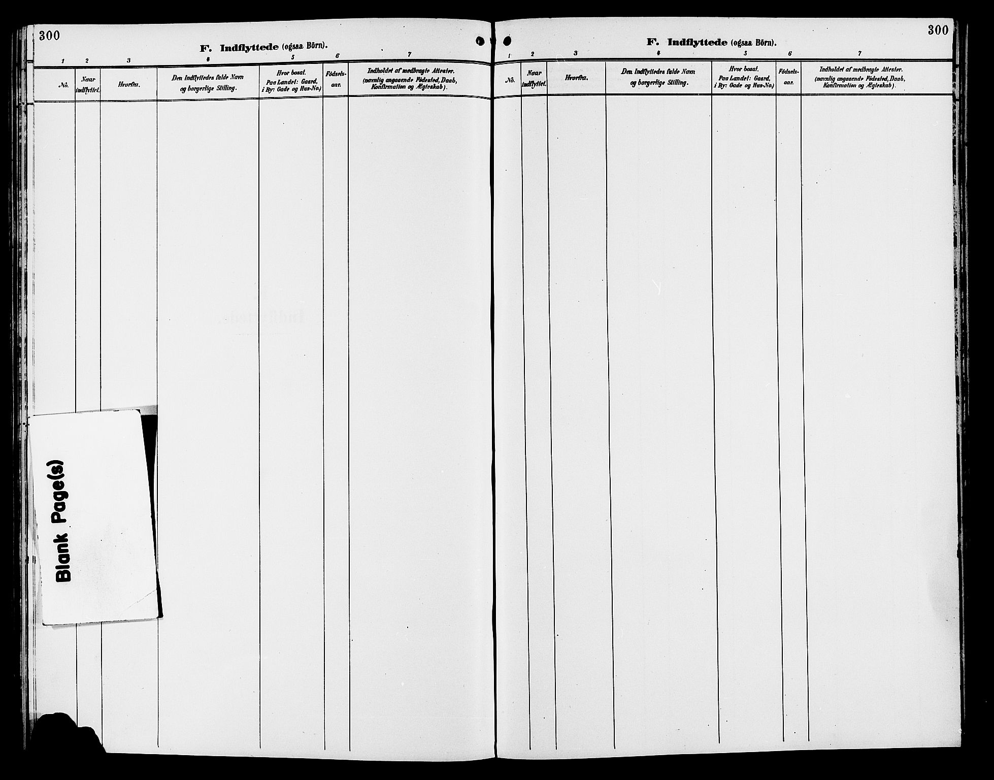 Vang prestekontor, Hedmark, AV/SAH-PREST-008/H/Ha/Hab/L0013: Parish register (copy) no. 13, 1890-1899, p. 300