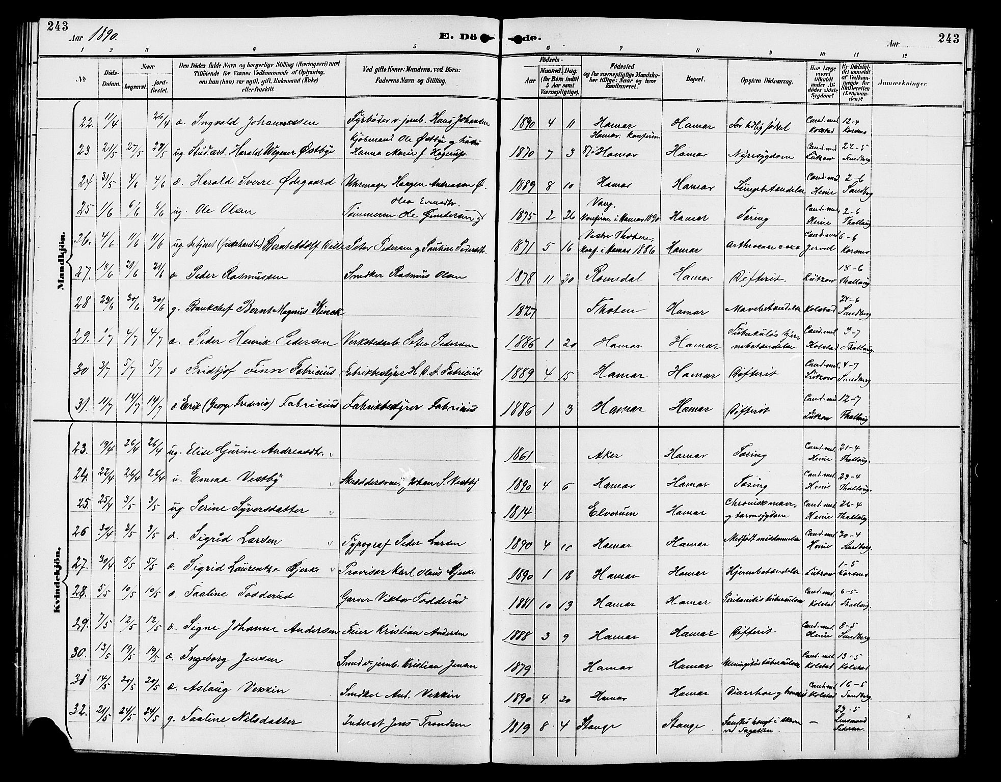 Vang prestekontor, Hedmark, AV/SAH-PREST-008/H/Ha/Hab/L0013: Parish register (copy) no. 13, 1890-1899, p. 243