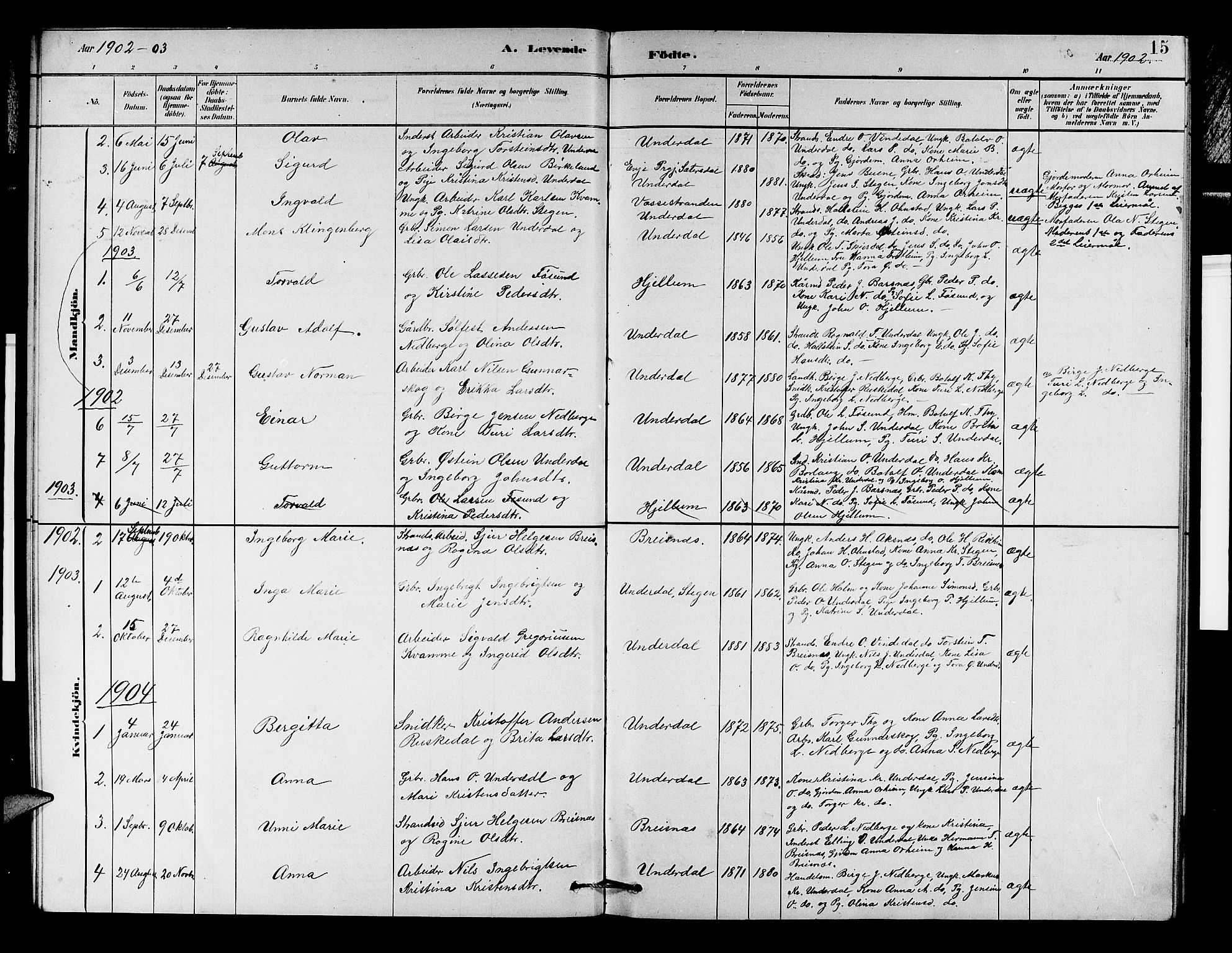 Aurland sokneprestembete, SAB/A-99937/H/Hb/Hbd/L0002: Parish register (copy) no. D 2, 1883-1920, p. 15