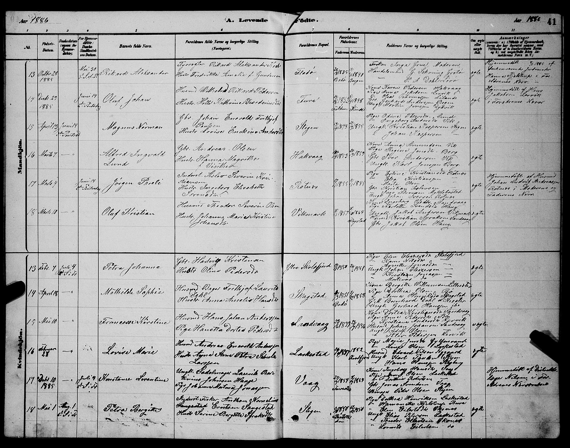 Ministerialprotokoller, klokkerbøker og fødselsregistre - Nordland, AV/SAT-A-1459/855/L0816: Parish register (copy) no. 855C05, 1879-1894, p. 41