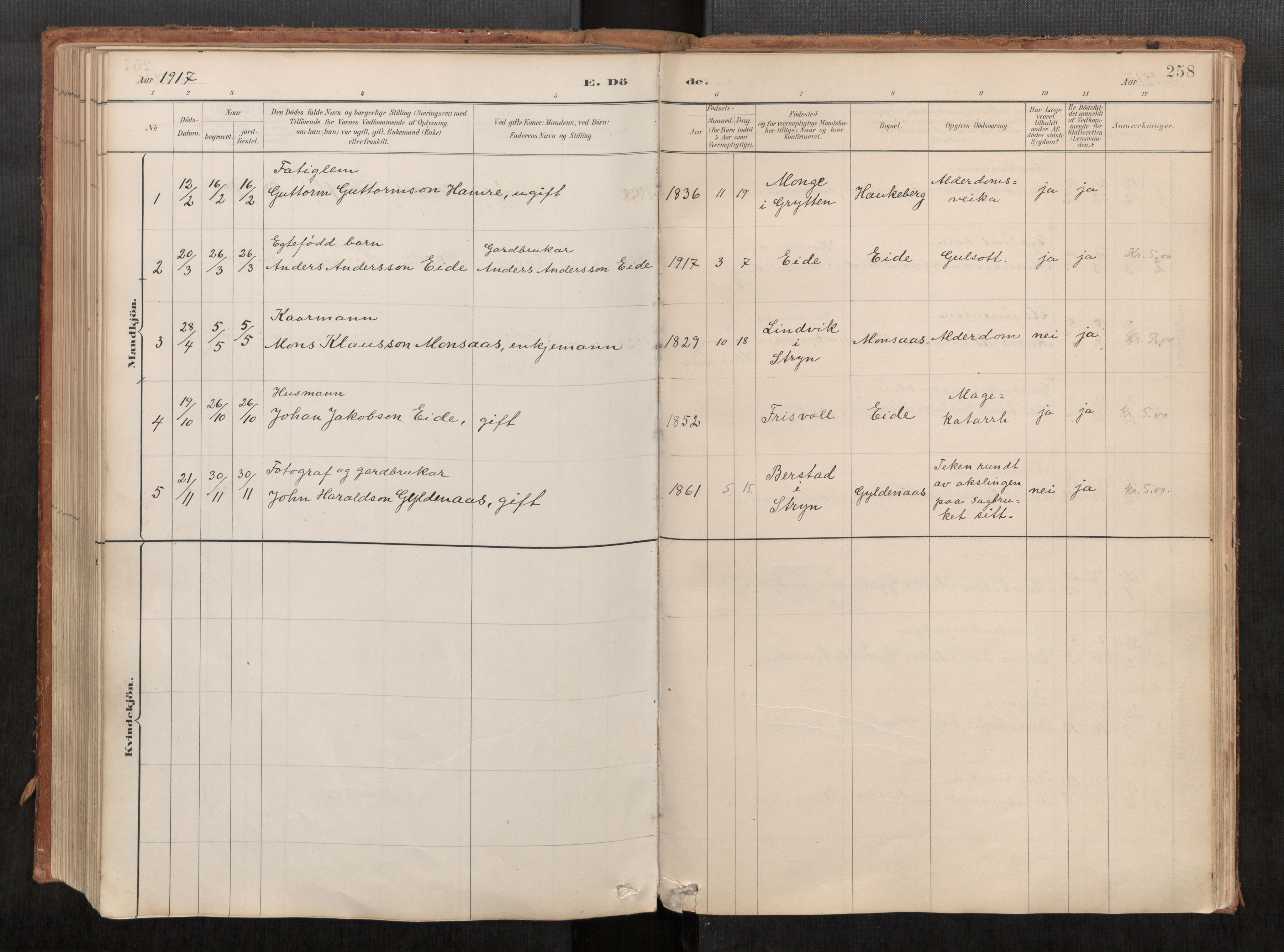 Ministerialprotokoller, klokkerbøker og fødselsregistre - Møre og Romsdal, AV/SAT-A-1454/542/L0553: Parish register (official) no. 542A03, 1885-1925, p. 258