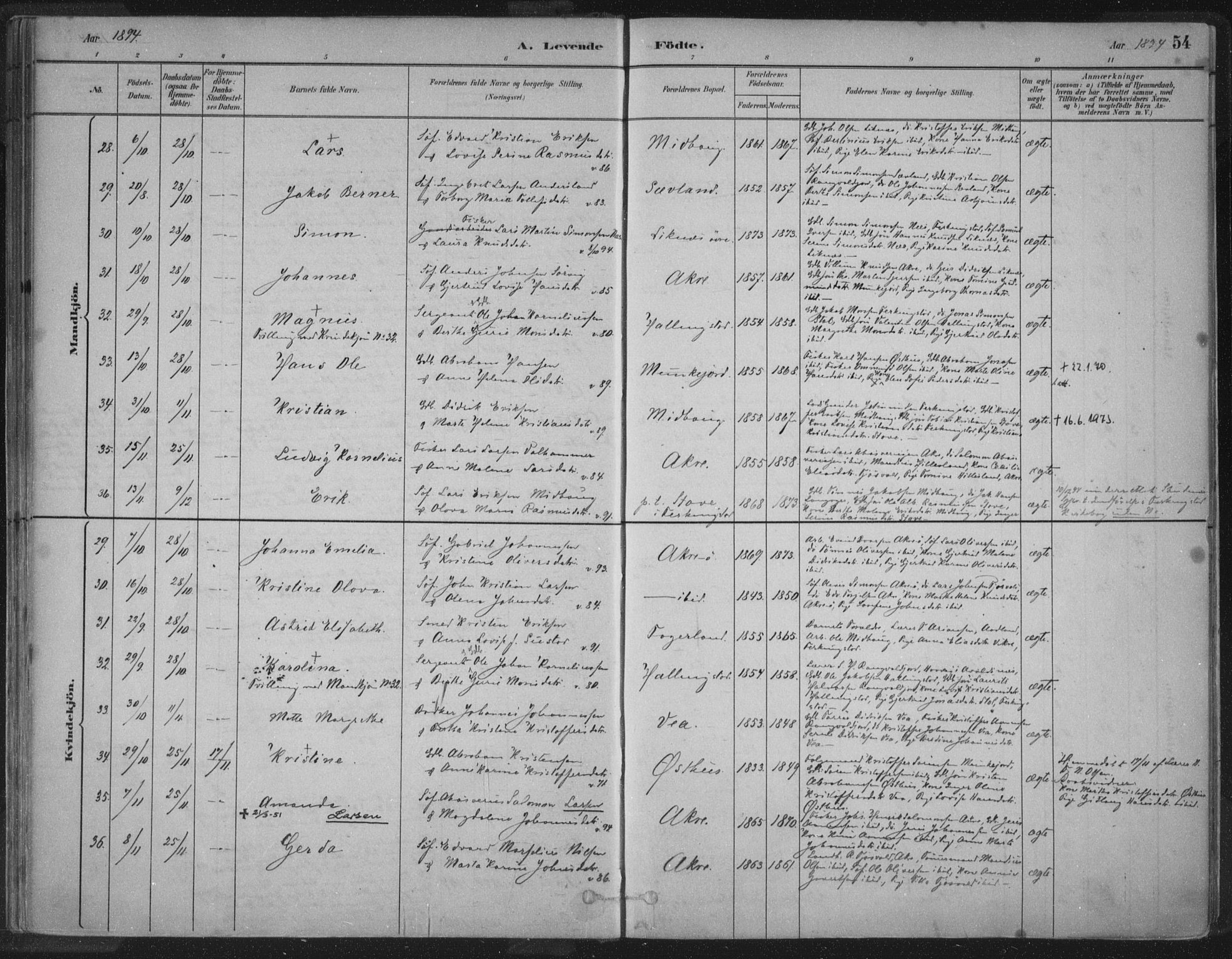 Kopervik sokneprestkontor, AV/SAST-A-101850/H/Ha/Haa/L0004: Parish register (official) no. A 4, 1882-1905, p. 54