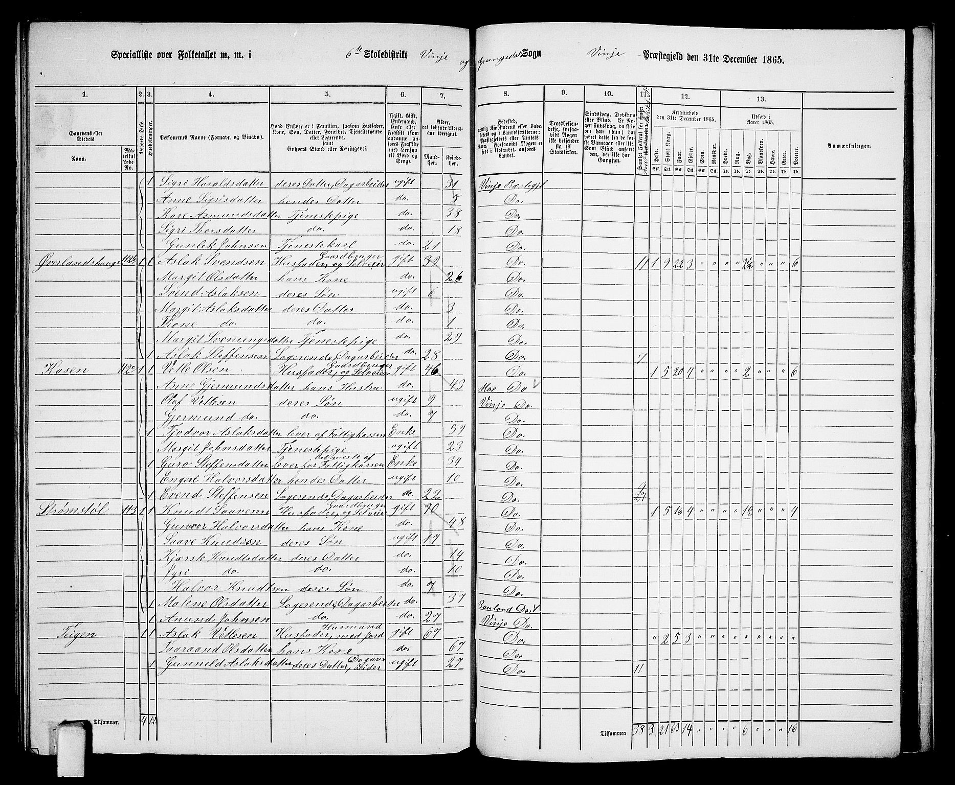 RA, 1865 census for Vinje, 1865, p. 66