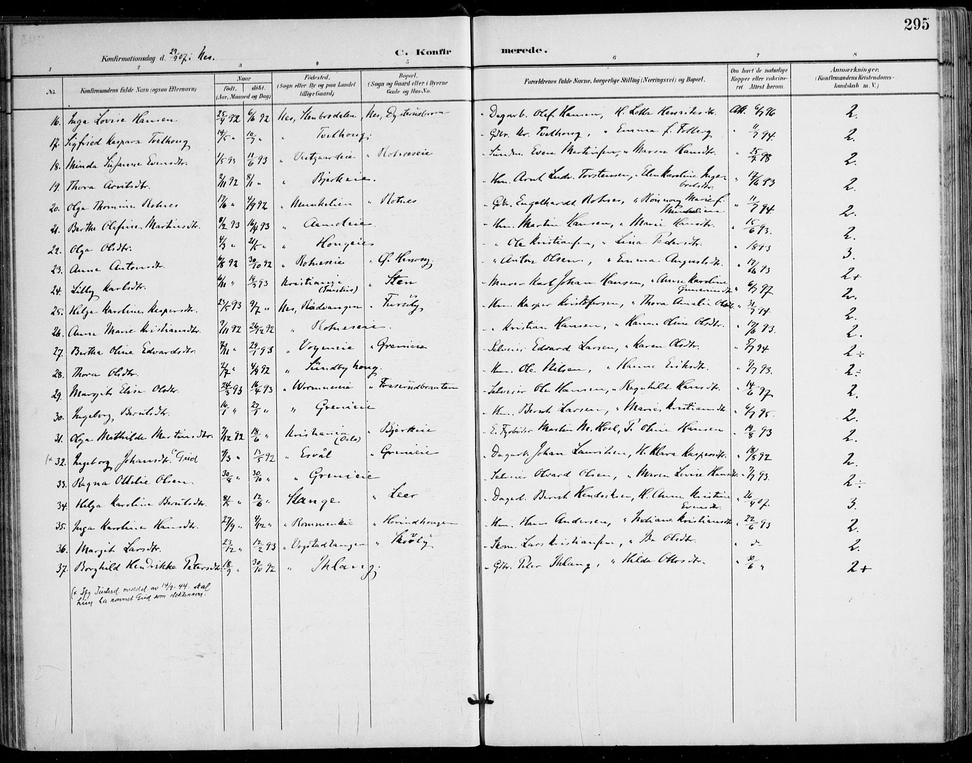 Nes prestekontor Kirkebøker, AV/SAO-A-10410/F/Fa/L0011: Parish register (official) no. I 11, 1899-1918, p. 295