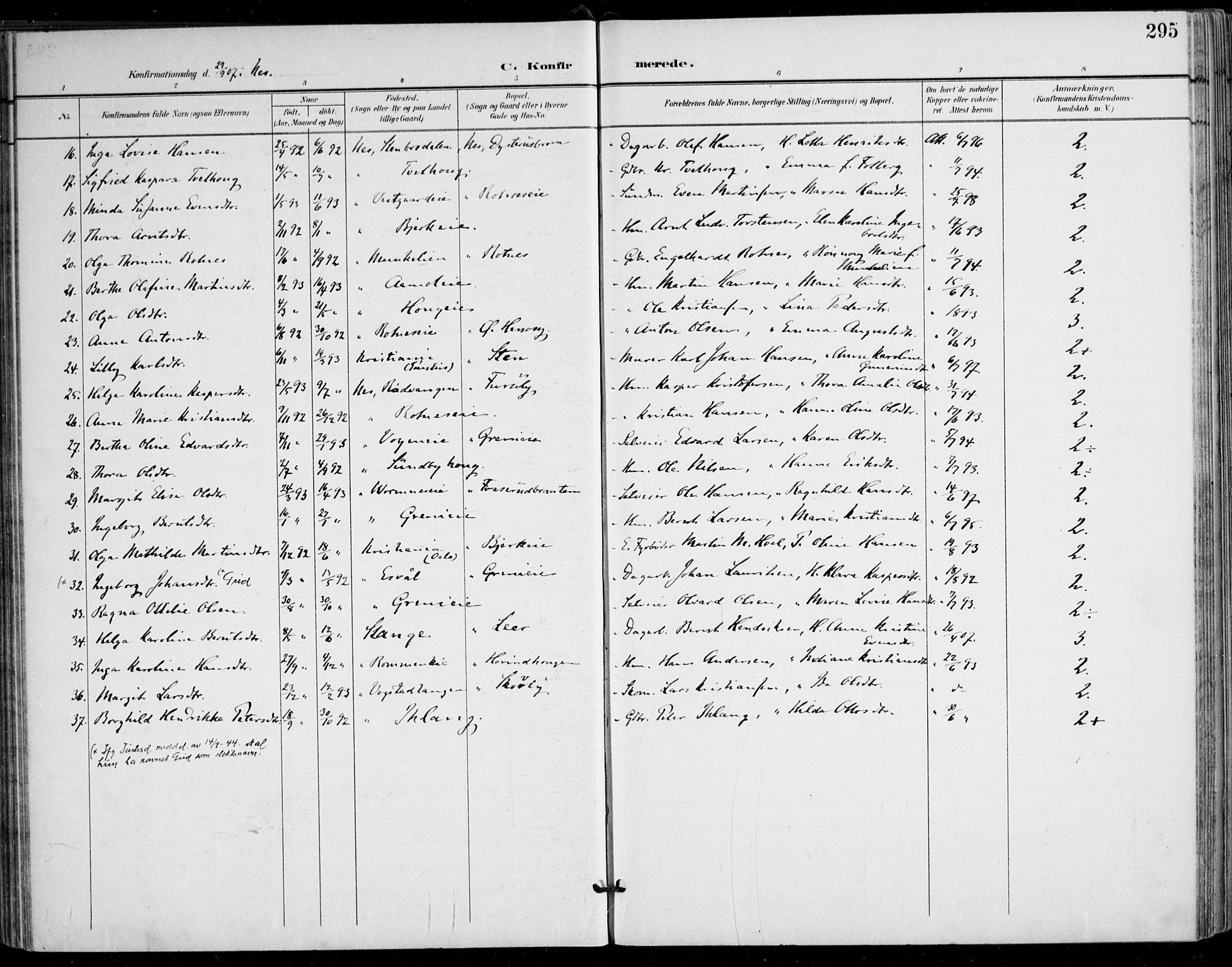 Nes prestekontor Kirkebøker, AV/SAO-A-10410/F/Fa/L0011: Parish register (official) no. I 11, 1899-1918, p. 295