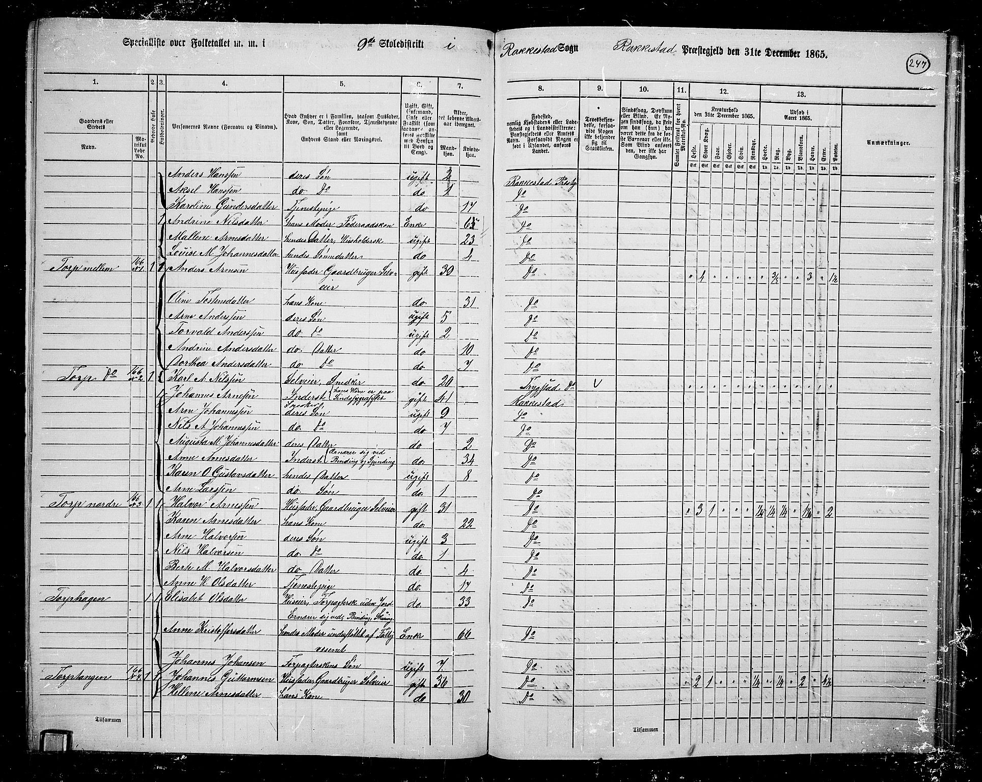 RA, 1865 census for Rakkestad, 1865, p. 236