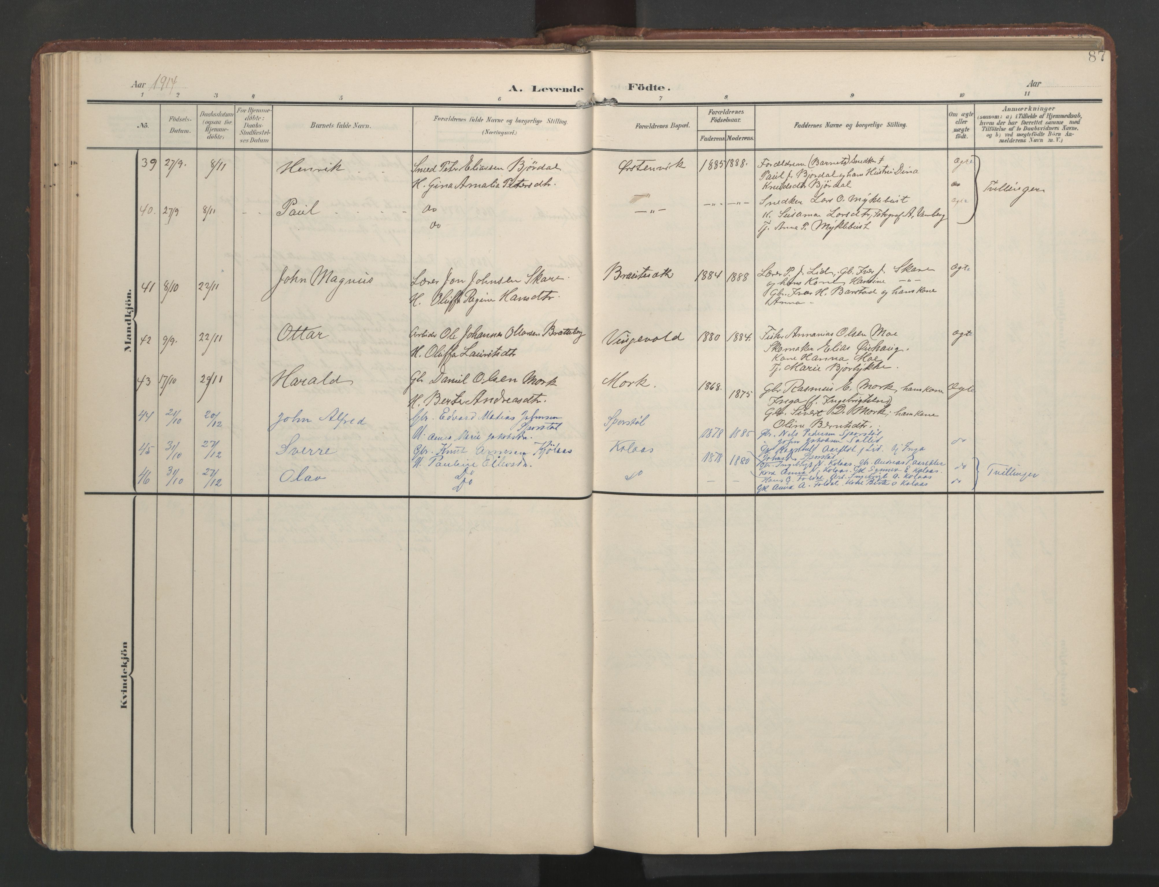 Ministerialprotokoller, klokkerbøker og fødselsregistre - Møre og Romsdal, AV/SAT-A-1454/513/L0190: Parish register (copy) no. 513C04, 1904-1926, p. 87