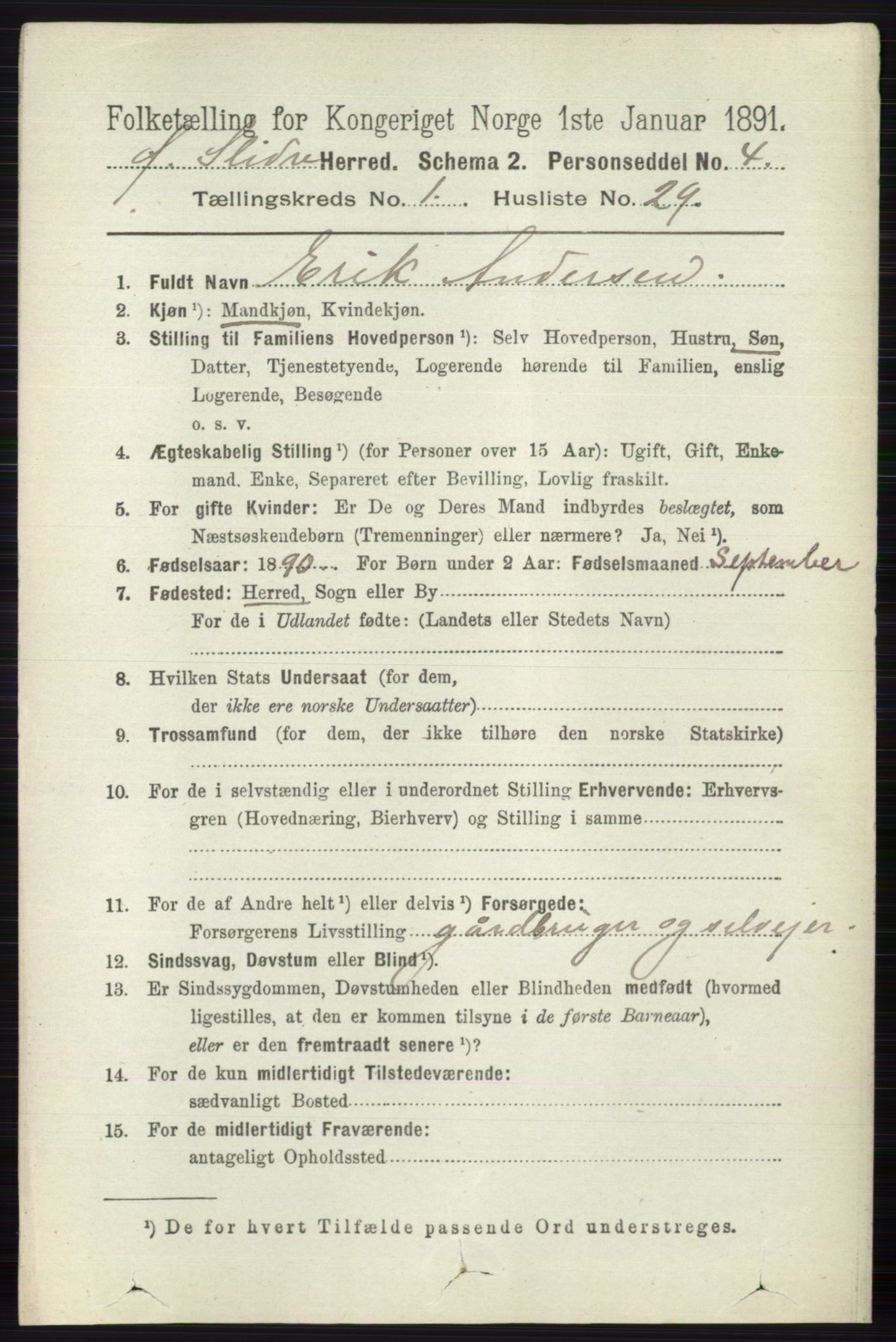 RA, 1891 census for 0544 Øystre Slidre, 1891, p. 215