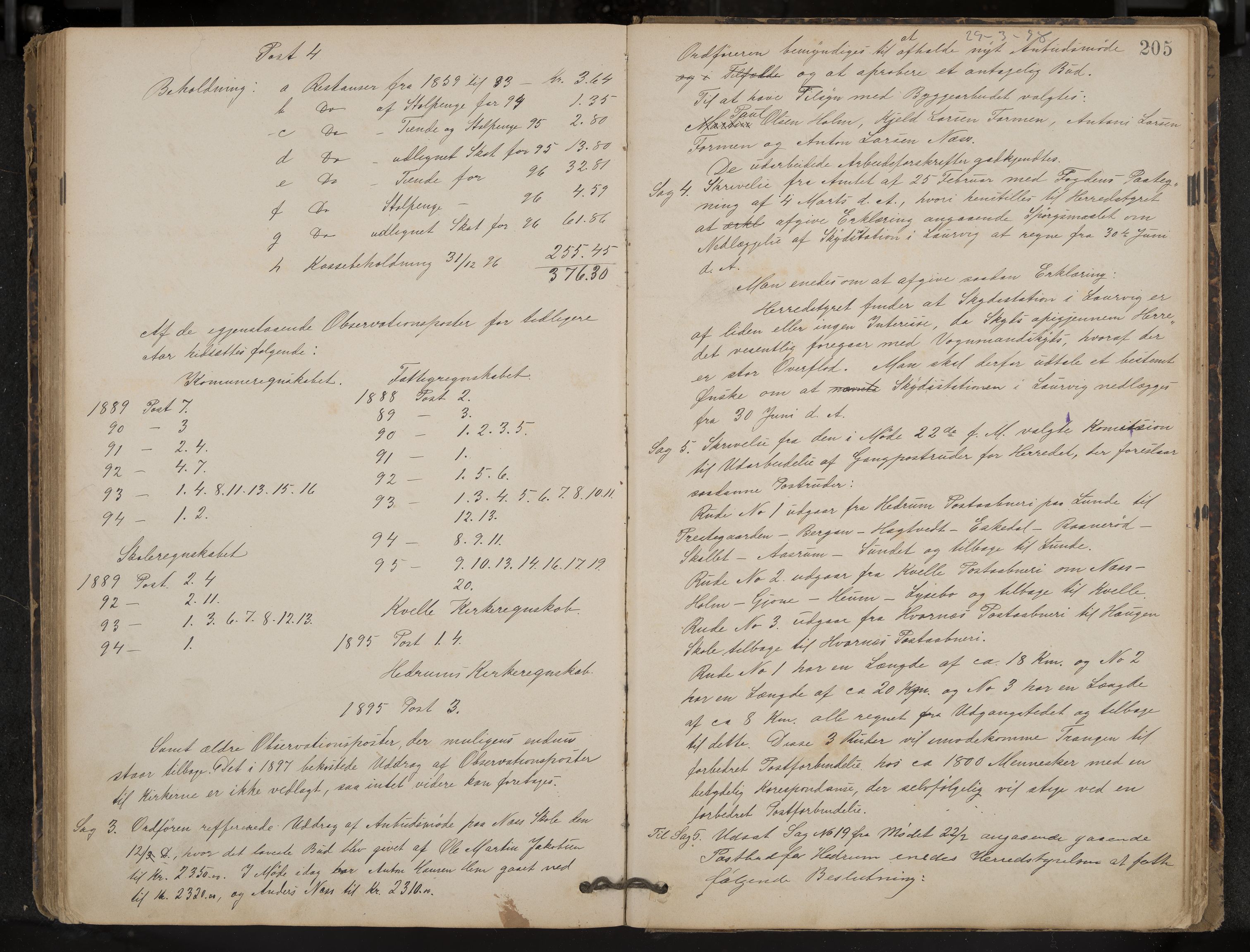 Hedrum formannskap og sentraladministrasjon, IKAK/0727021/A/Aa/L0004: Møtebok, 1888-1899, p. 205