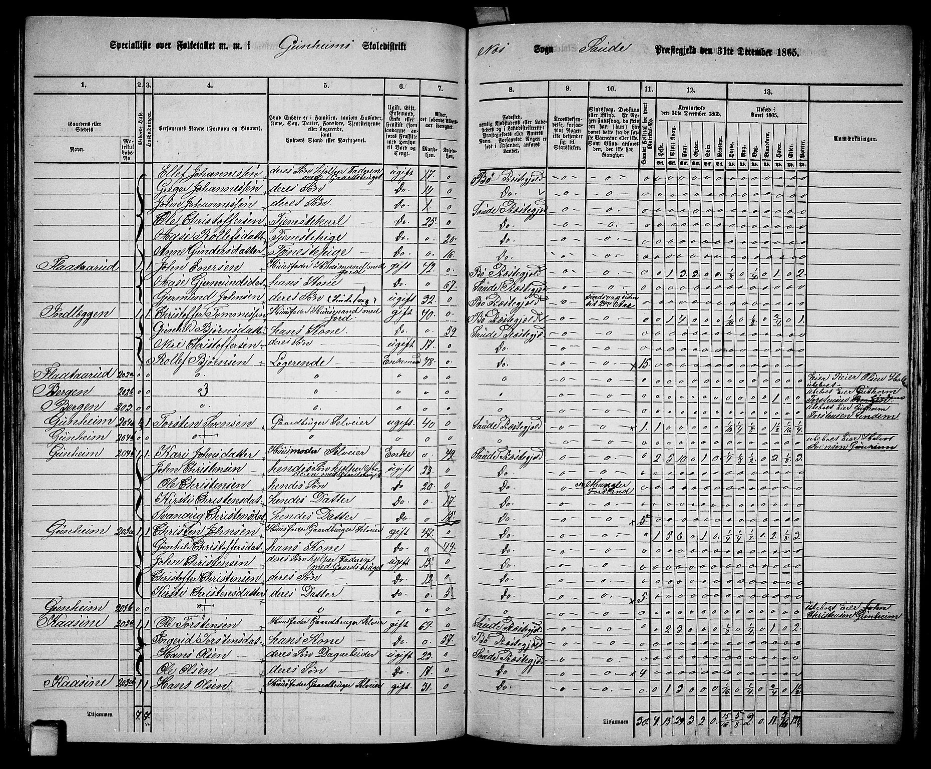 RA, 1865 census for Sauherad, 1865, p. 114