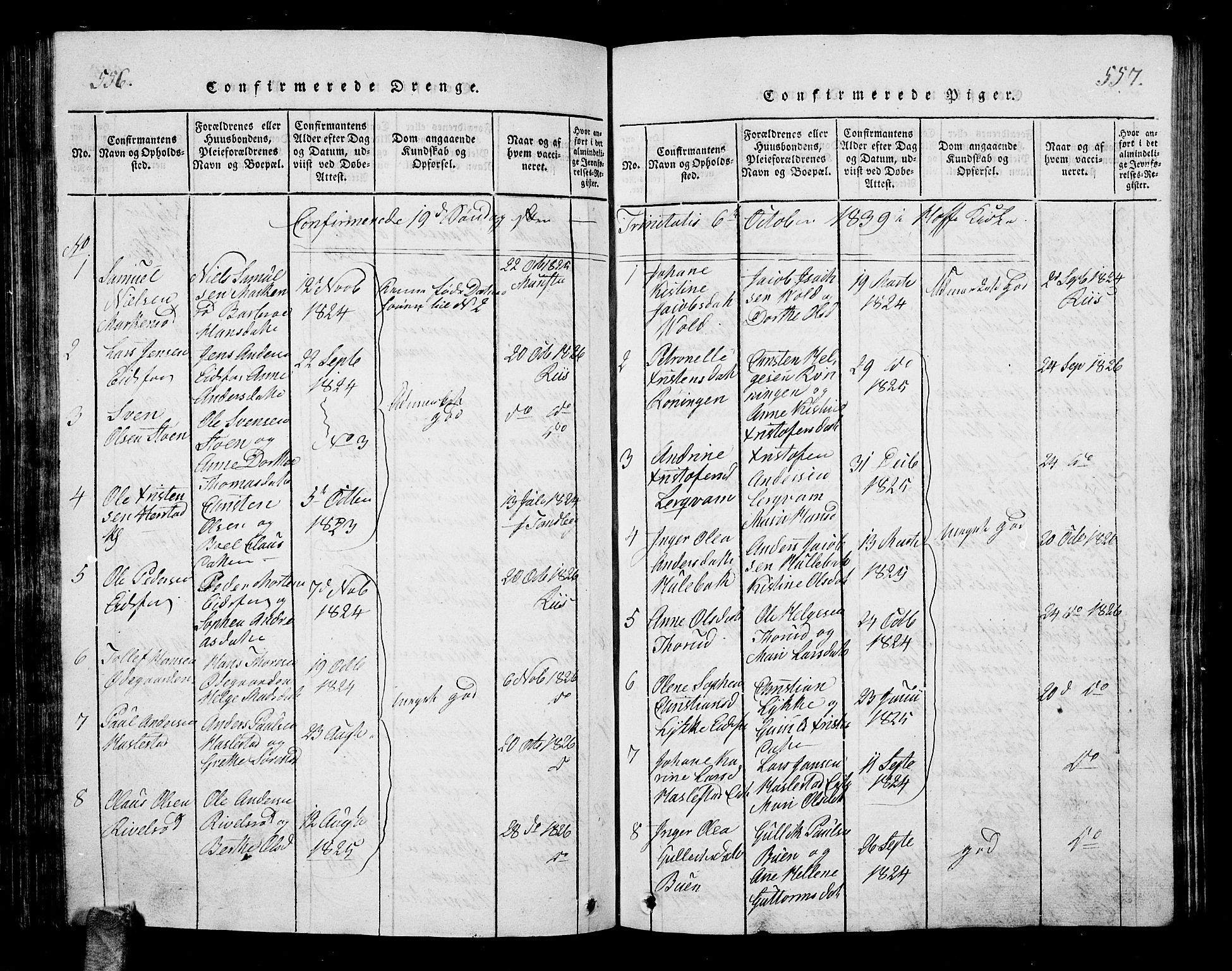 Hof kirkebøker, AV/SAKO-A-64/G/Ga/L0001: Parish register (copy) no. I 1, 1814-1844, p. 556-557