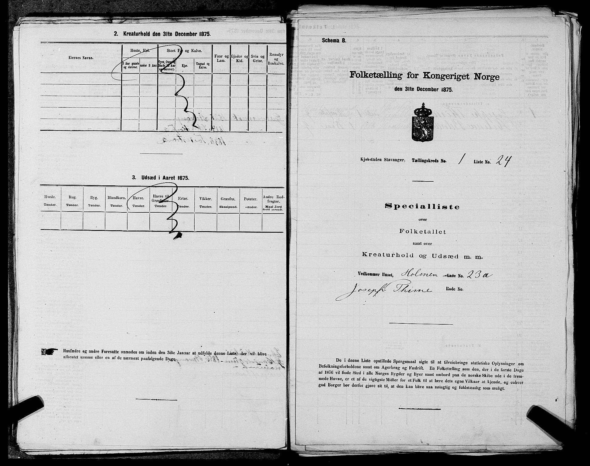 SAST, 1875 census for 1103 Stavanger, 1875, p. 49