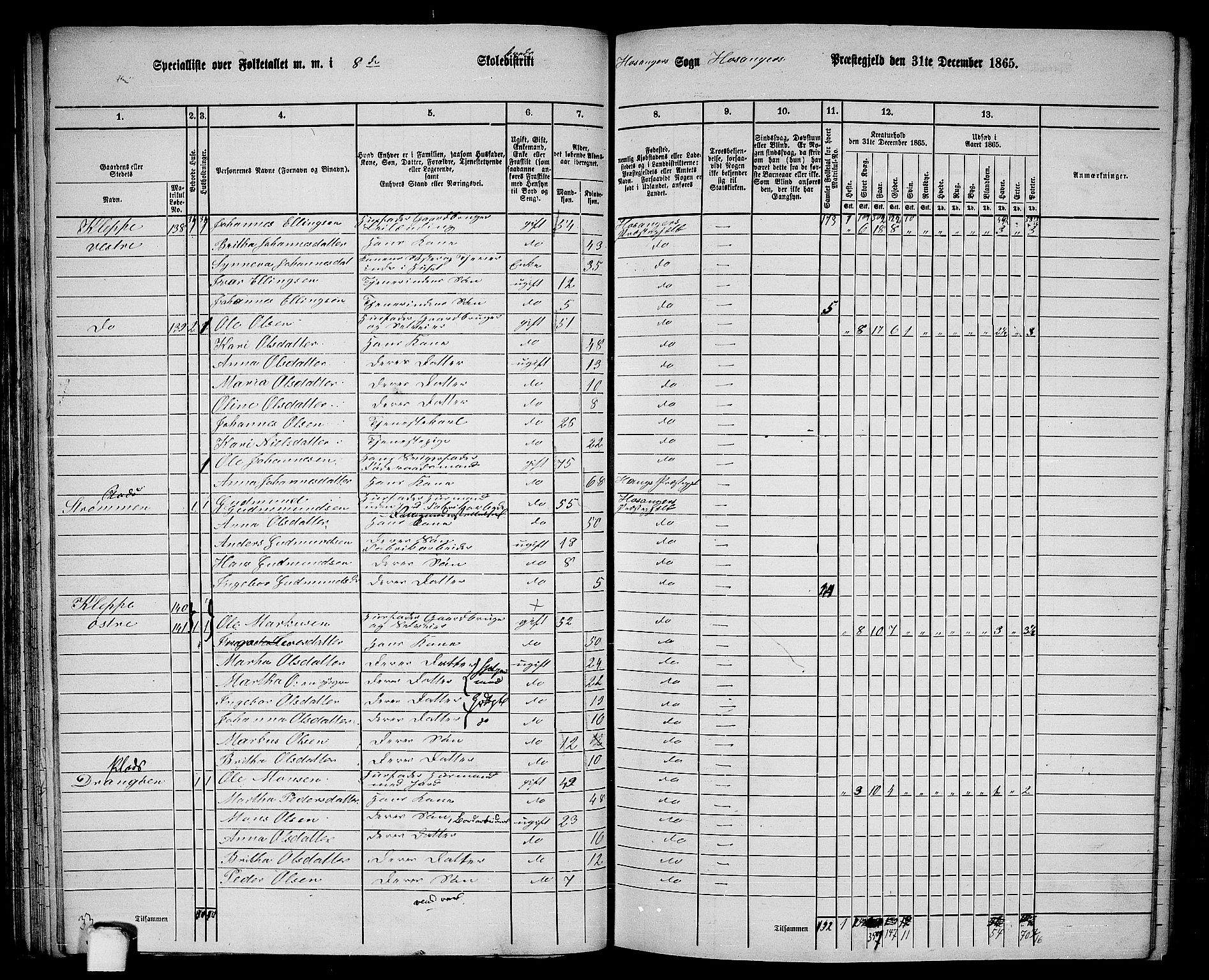 RA, 1865 census for Hosanger, 1865, p. 66