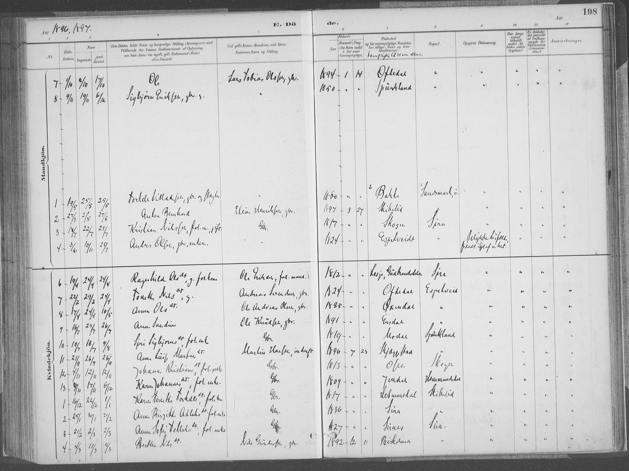 Bakke sokneprestkontor, SAK/1111-0002/F/Fa/Faa/L0008: Parish register (official) no. A 8, 1887-1911, p. 198