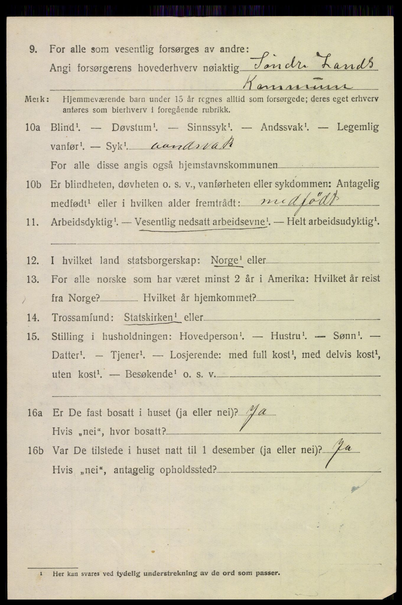 SAH, 1920 census for Søndre Land, 1920, p. 4950