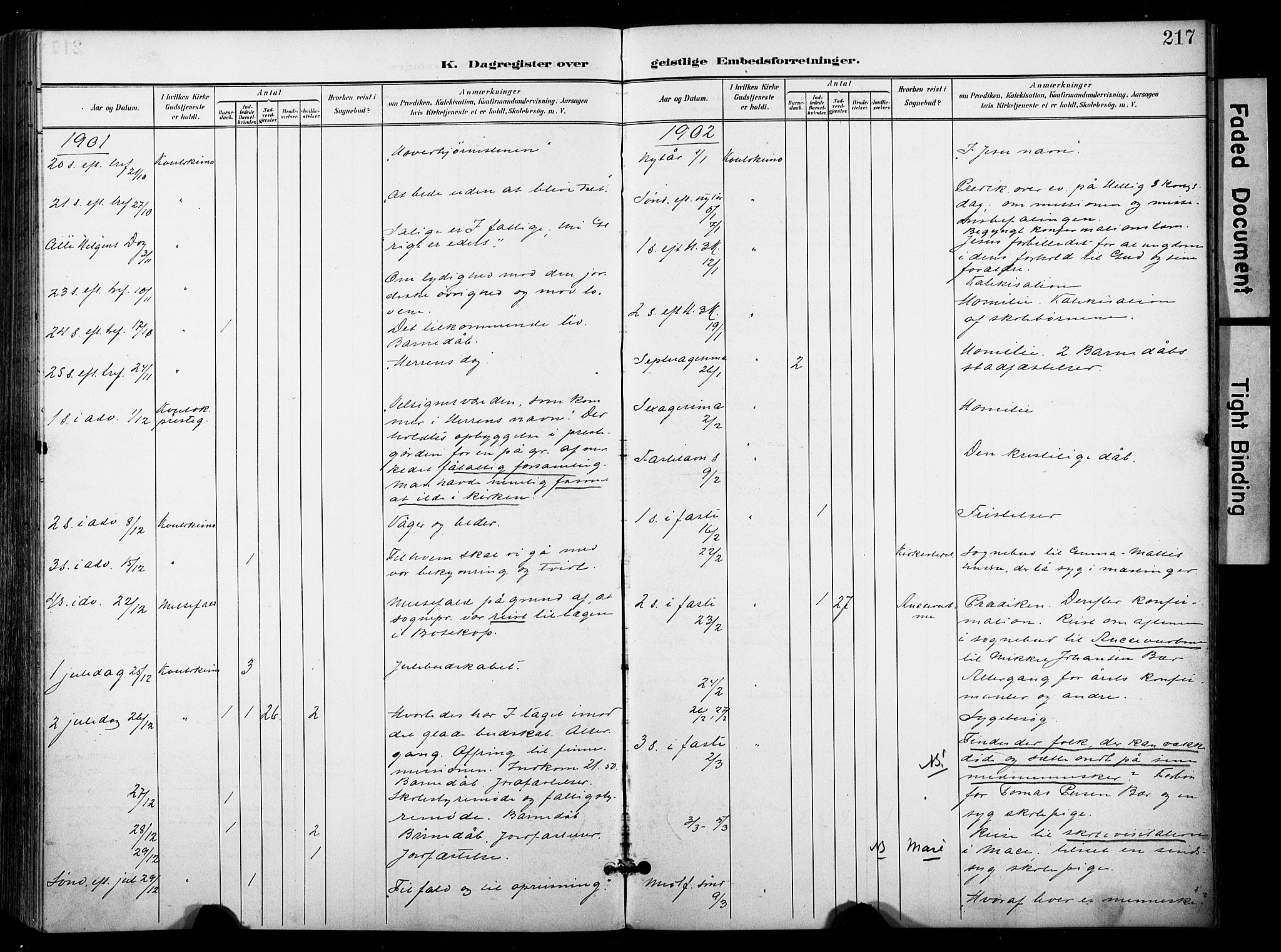 Kautokeino sokneprestembete, SATØ/S-1340/H/Ha/L0005.kirke: Parish register (official) no. 5, 1896-1916, p. 217