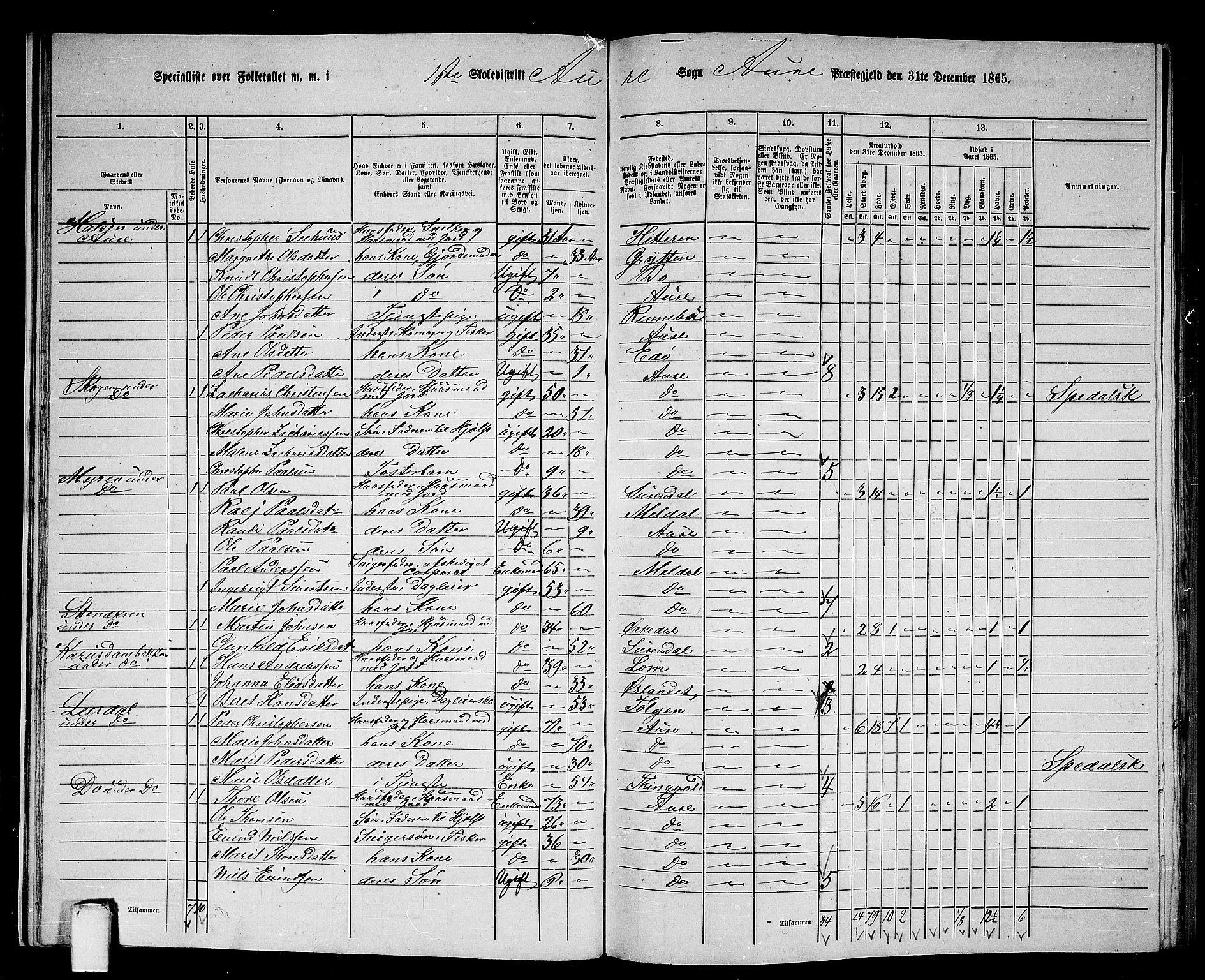 RA, 1865 census for Aure, 1865, p. 19