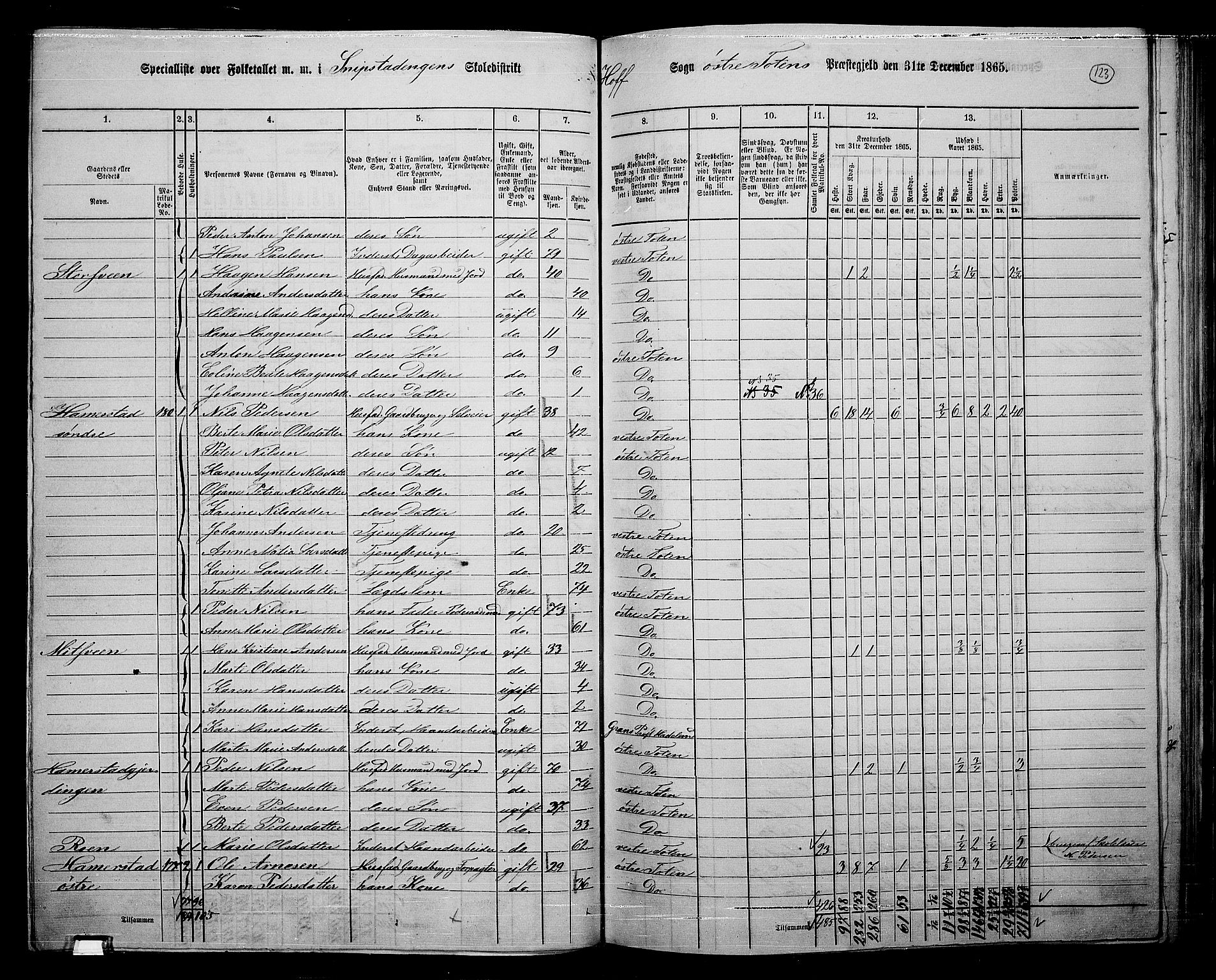 RA, 1865 census for Østre Toten, 1865, p. 243