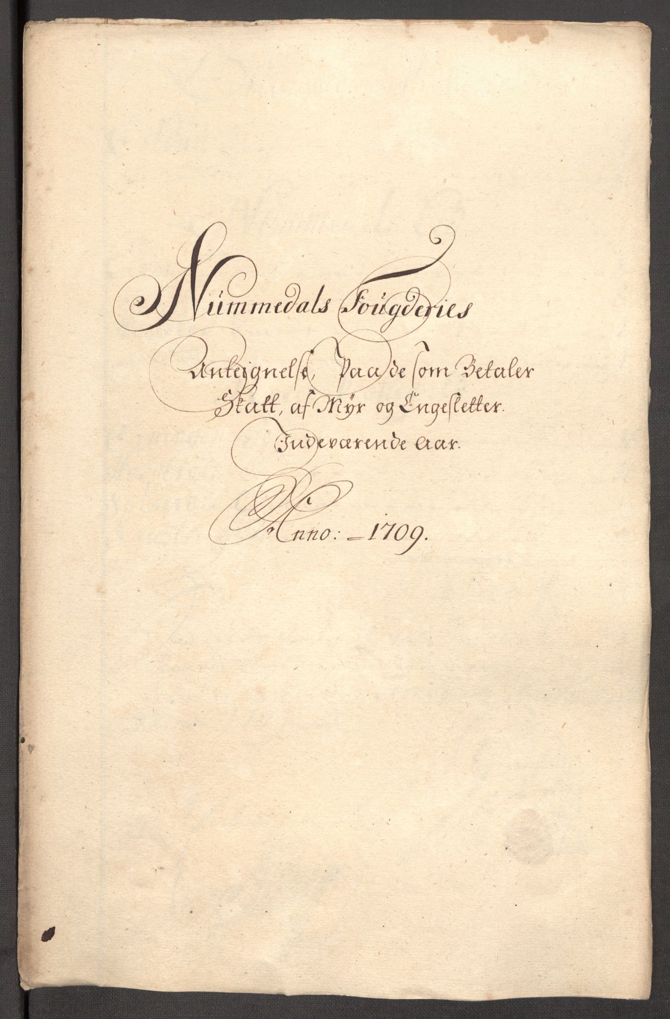 Rentekammeret inntil 1814, Reviderte regnskaper, Fogderegnskap, RA/EA-4092/R64/L4431: Fogderegnskap Namdal, 1709-1710, p. 119