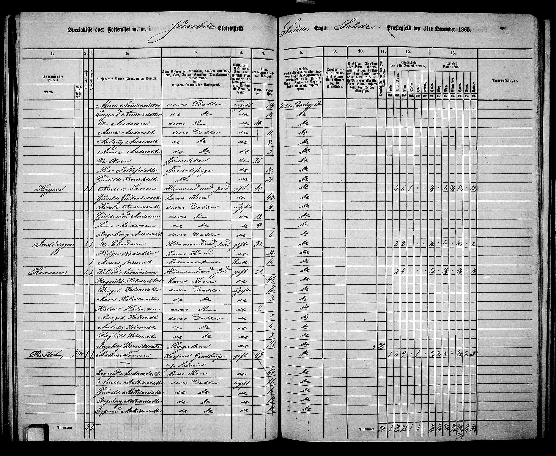 RA, 1865 census for Sauherad, 1865, p. 66