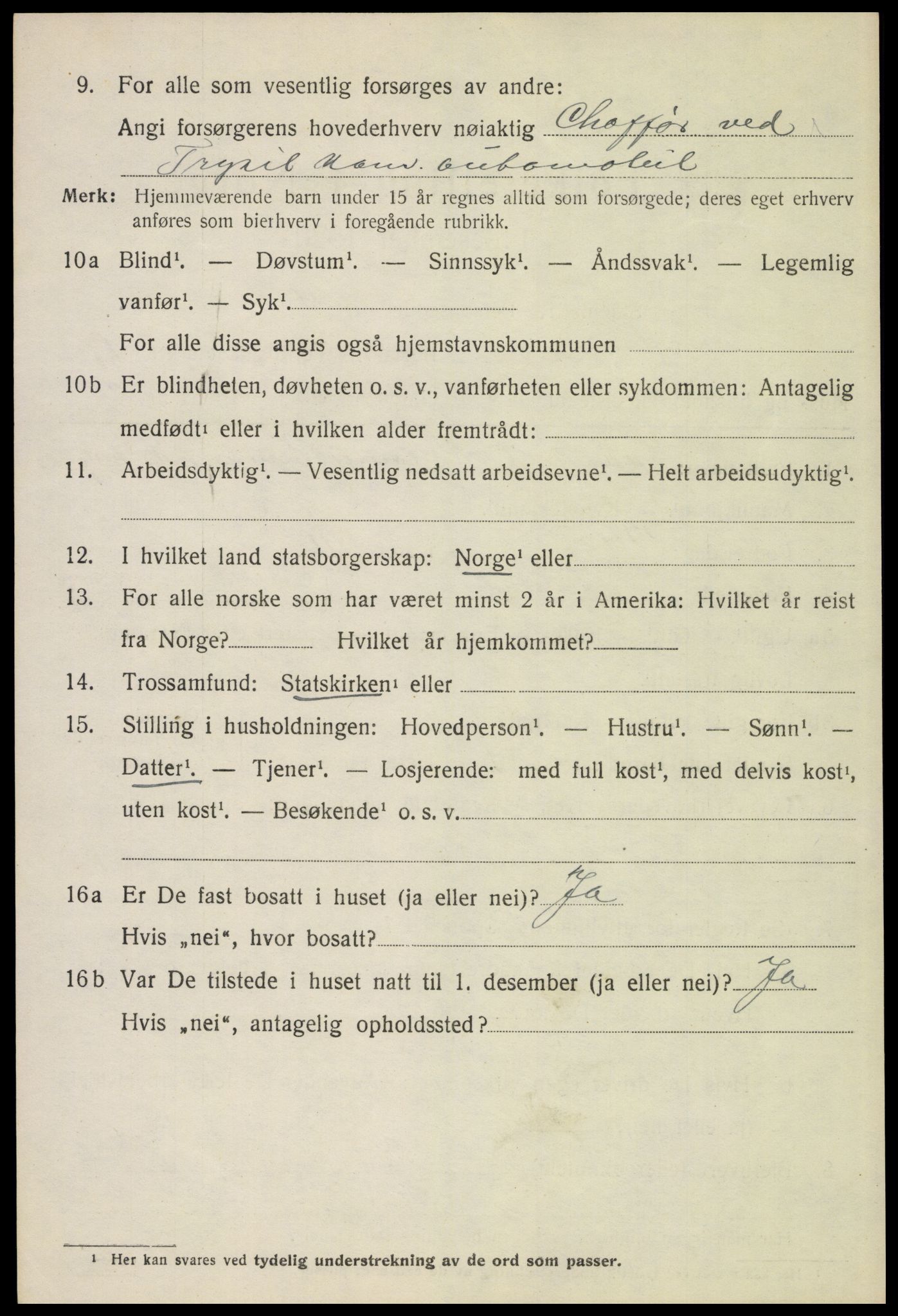 SAH, 1920 census for Trysil, 1920, p. 10642