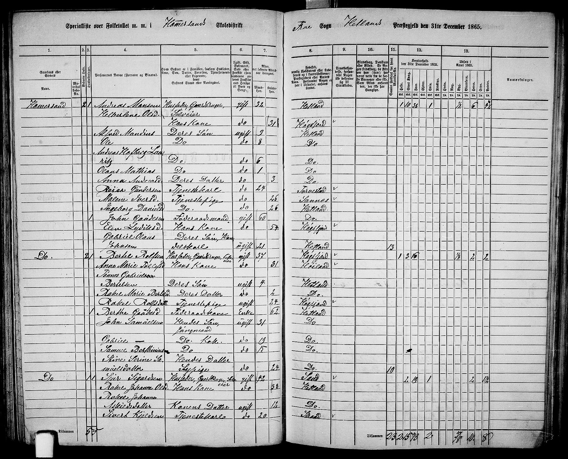 RA, 1865 census for Hetland, 1865, p. 80