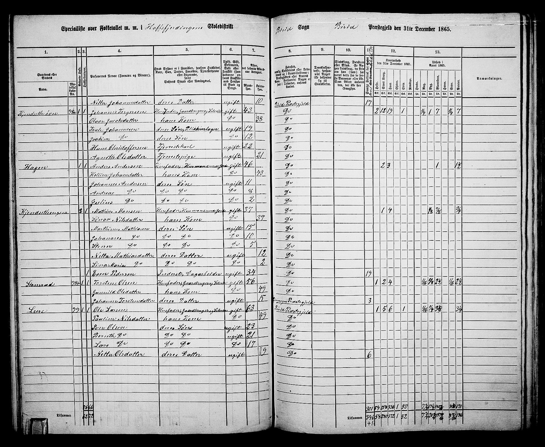 RA, 1865 census for Biri, 1865, p. 98