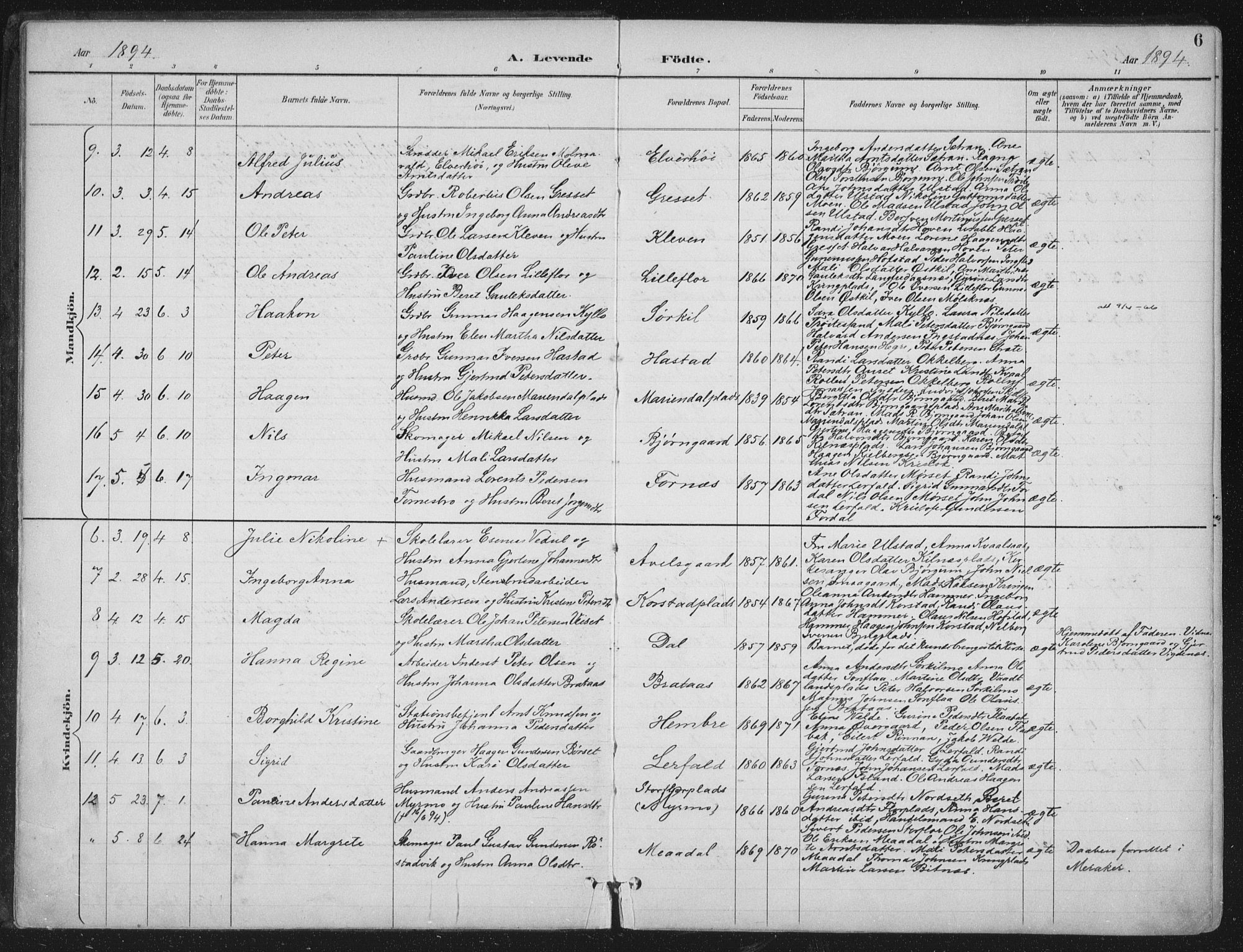 Ministerialprotokoller, klokkerbøker og fødselsregistre - Nord-Trøndelag, SAT/A-1458/703/L0031: Parish register (official) no. 703A04, 1893-1914, p. 6