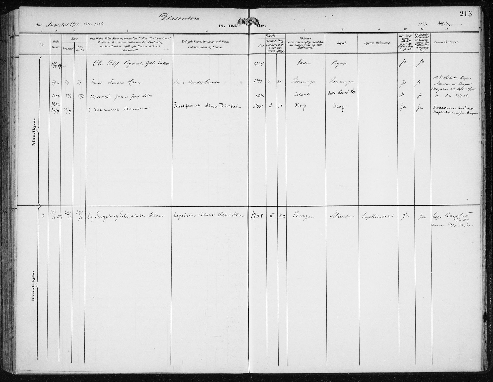 Fana Sokneprestembete, SAB/A-75101/H/Haa/Haai/L0003: Parish register (official) no. I 3, 1900-1912, p. 215