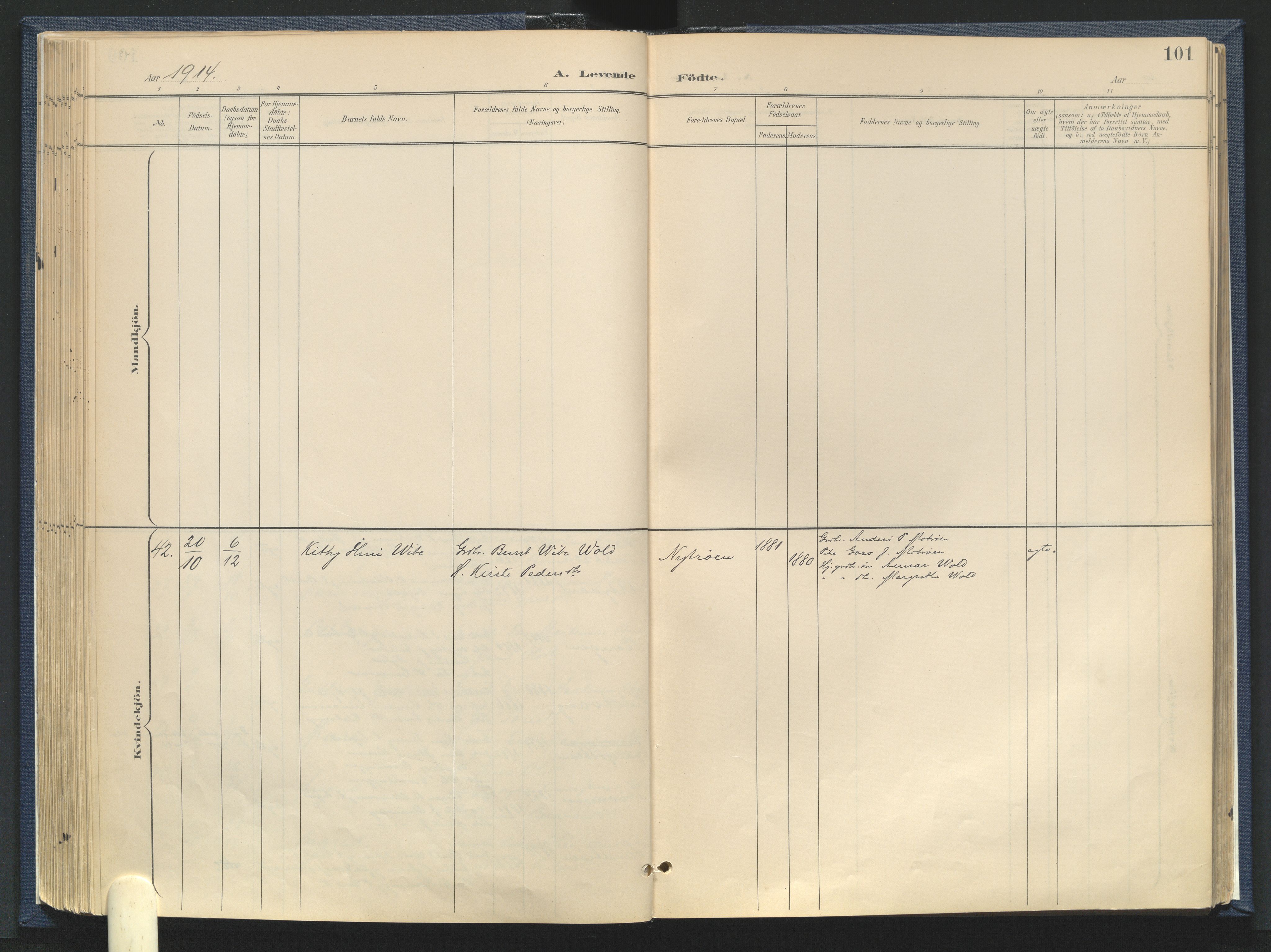 Tynset prestekontor, SAH/PREST-058/H/Ha/Haa/L0025: Parish register (official) no. 25, 1900-1914, p. 101