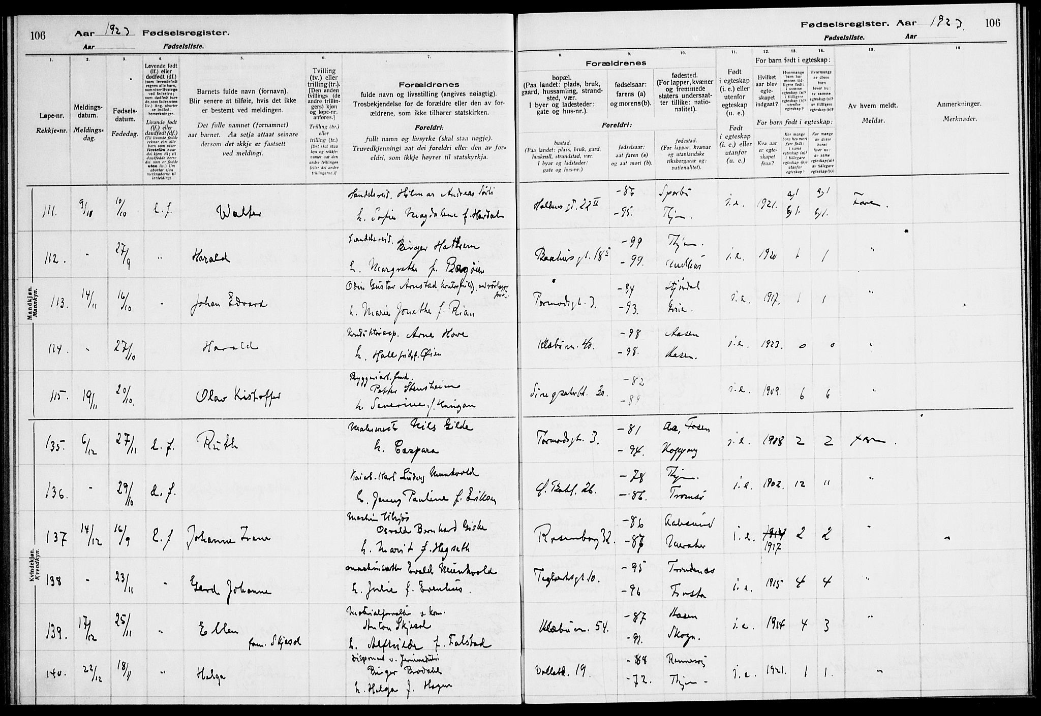 Ministerialprotokoller, klokkerbøker og fødselsregistre - Sør-Trøndelag, AV/SAT-A-1456/604/L0233: Birth register no. 604.II.4.2, 1920-1928, p. 106