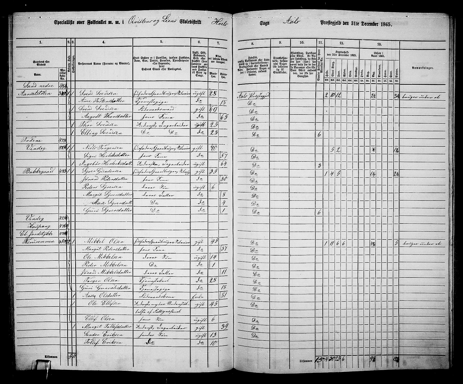 RA, 1865 census for Ål, 1865, p. 230