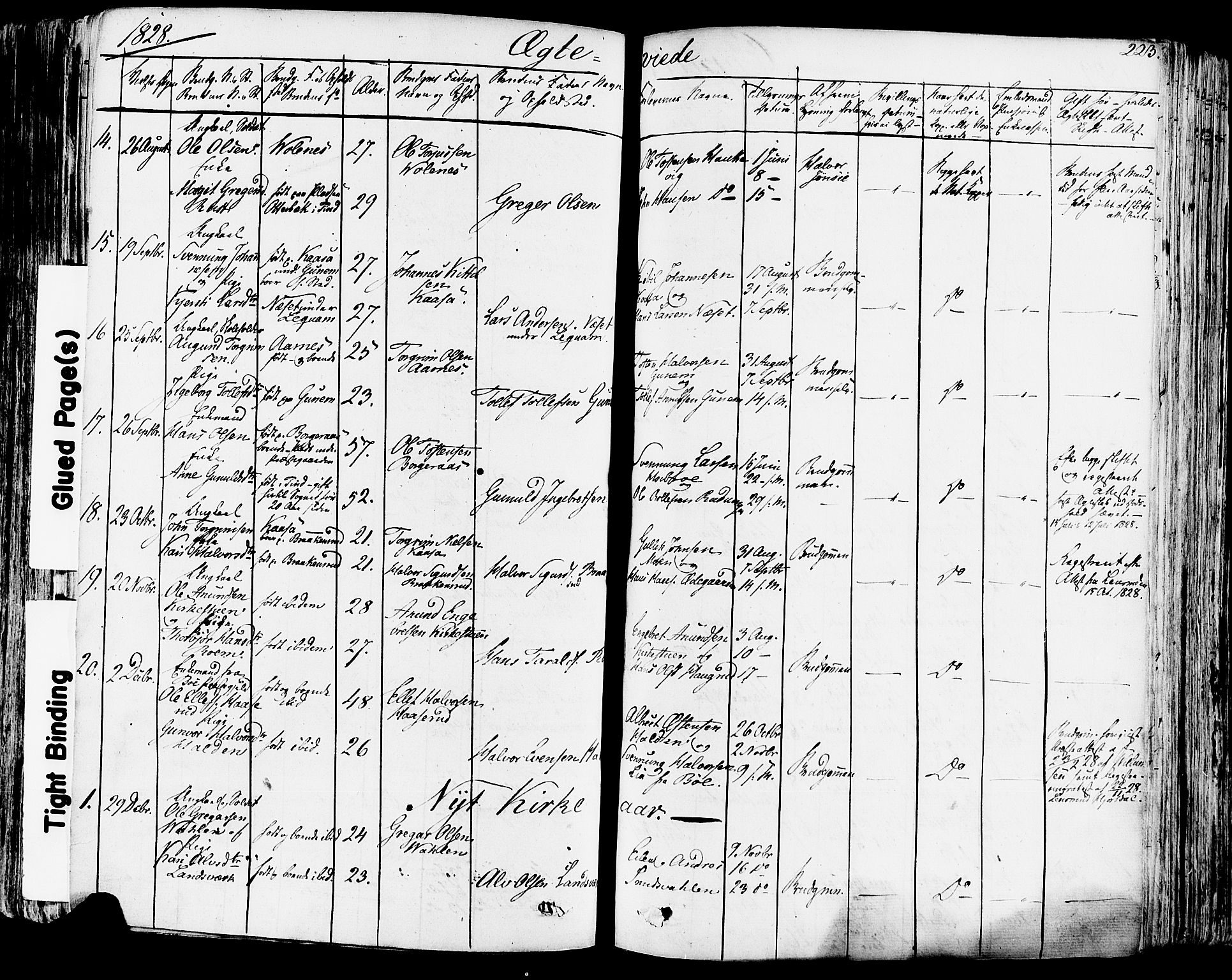 Sauherad kirkebøker, SAKO/A-298/F/Fa/L0006: Parish register (official) no. I 6, 1827-1850, p. 223