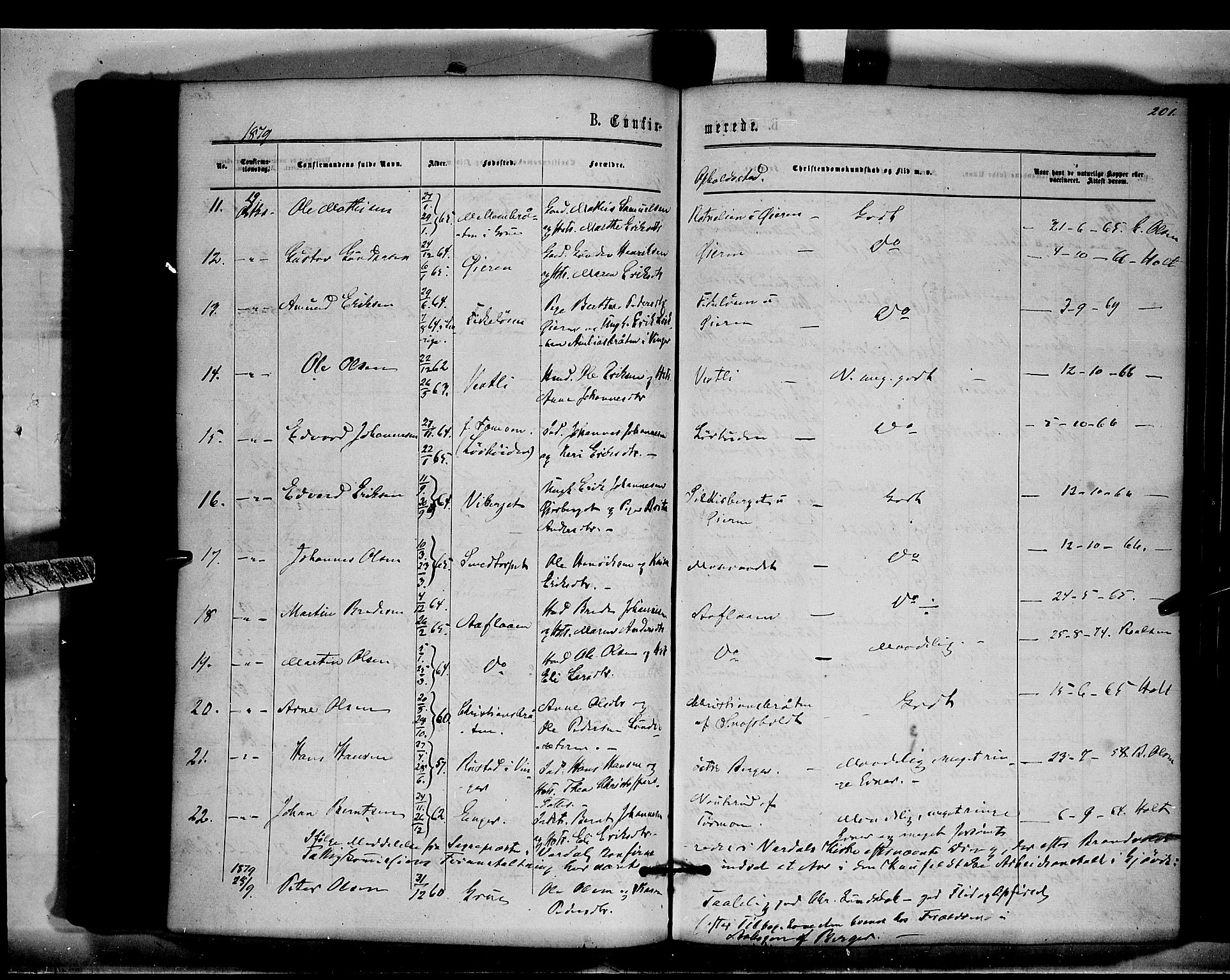 Brandval prestekontor, AV/SAH-PREST-034/H/Ha/Haa/L0001: Parish register (official) no. 1, 1864-1879, p. 201