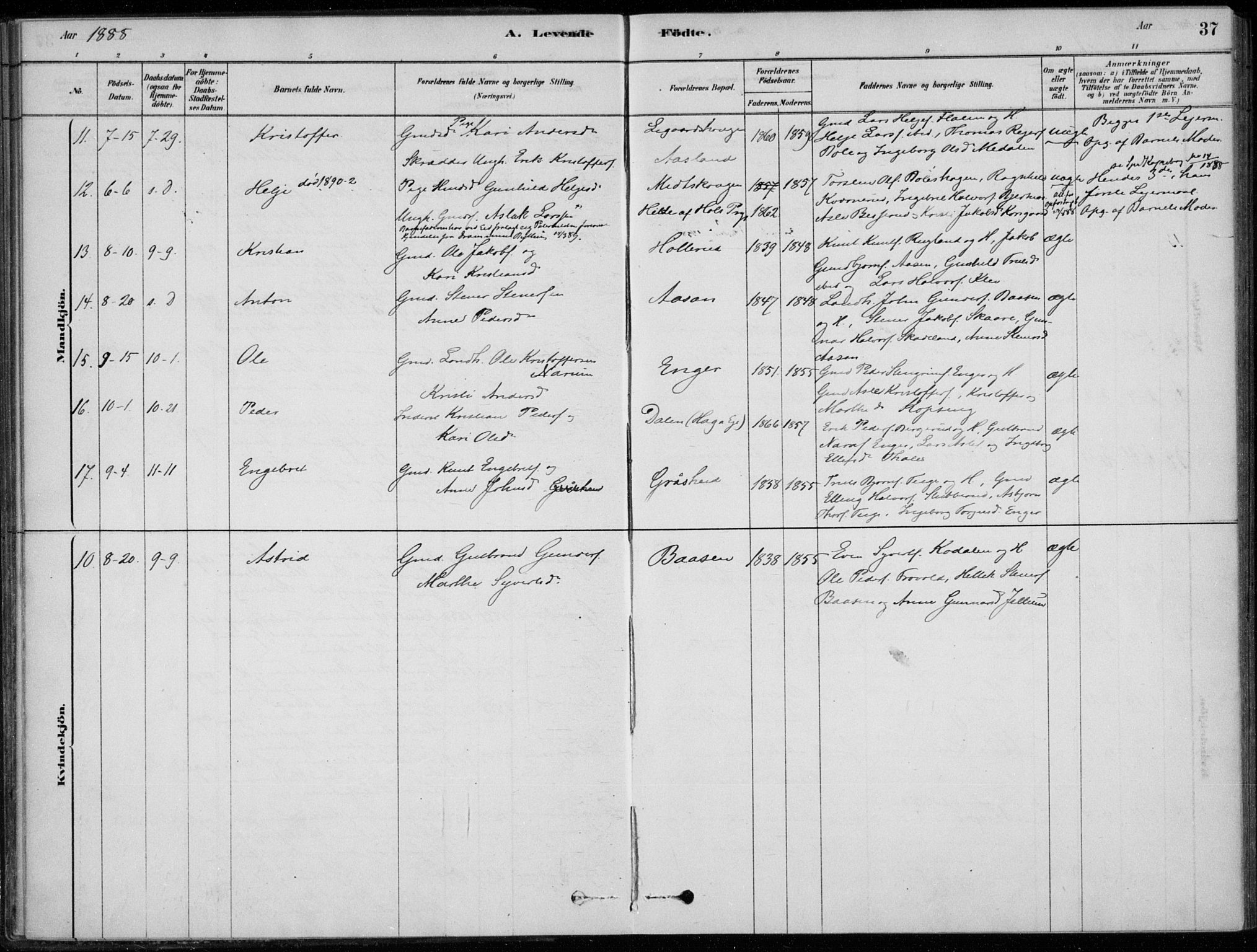 Sigdal kirkebøker, AV/SAKO-A-245/F/Fc/L0001: Parish register (official) no. III 1, 1879-1893, p. 37